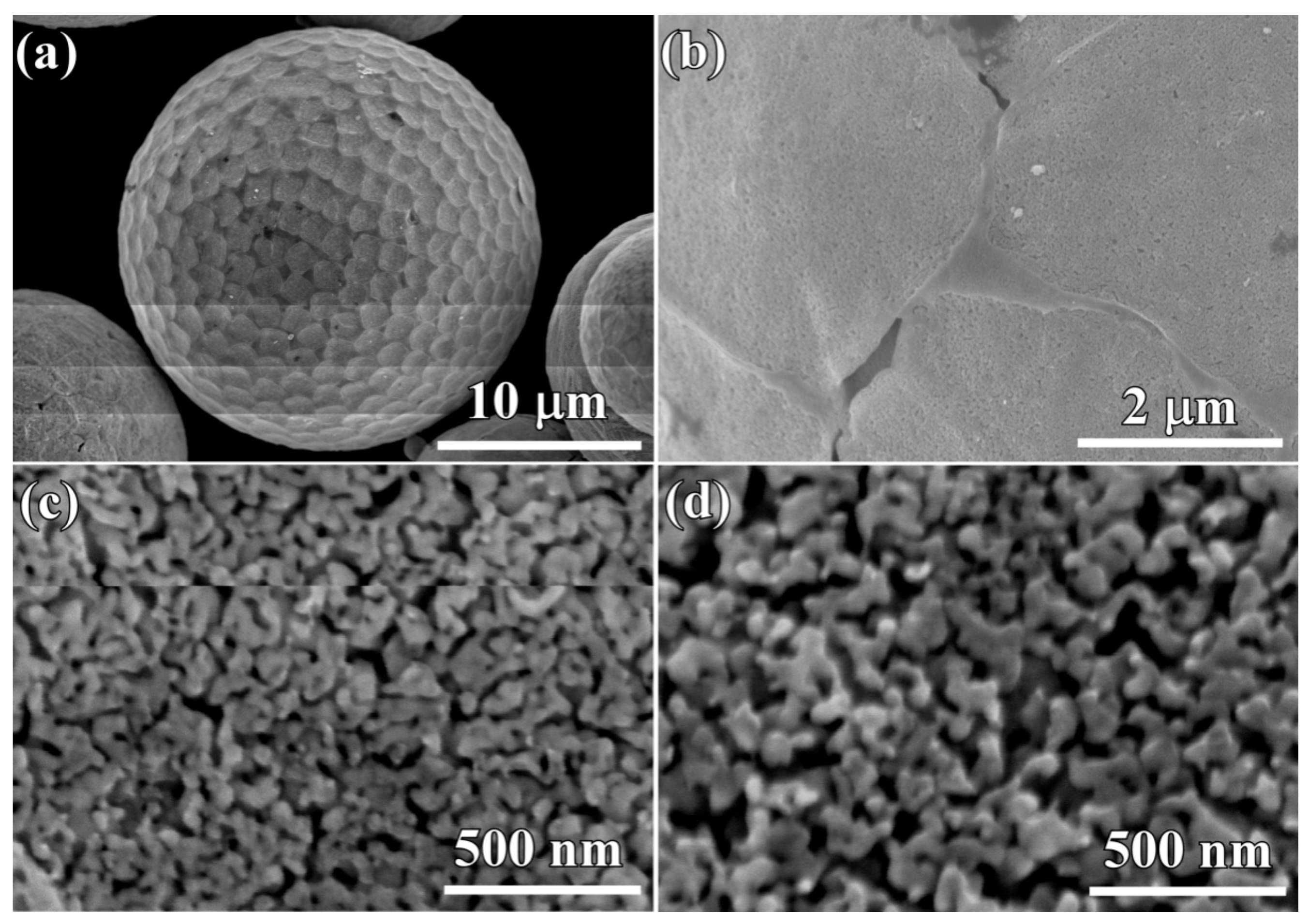 Nanomaterials 08 00581 g005