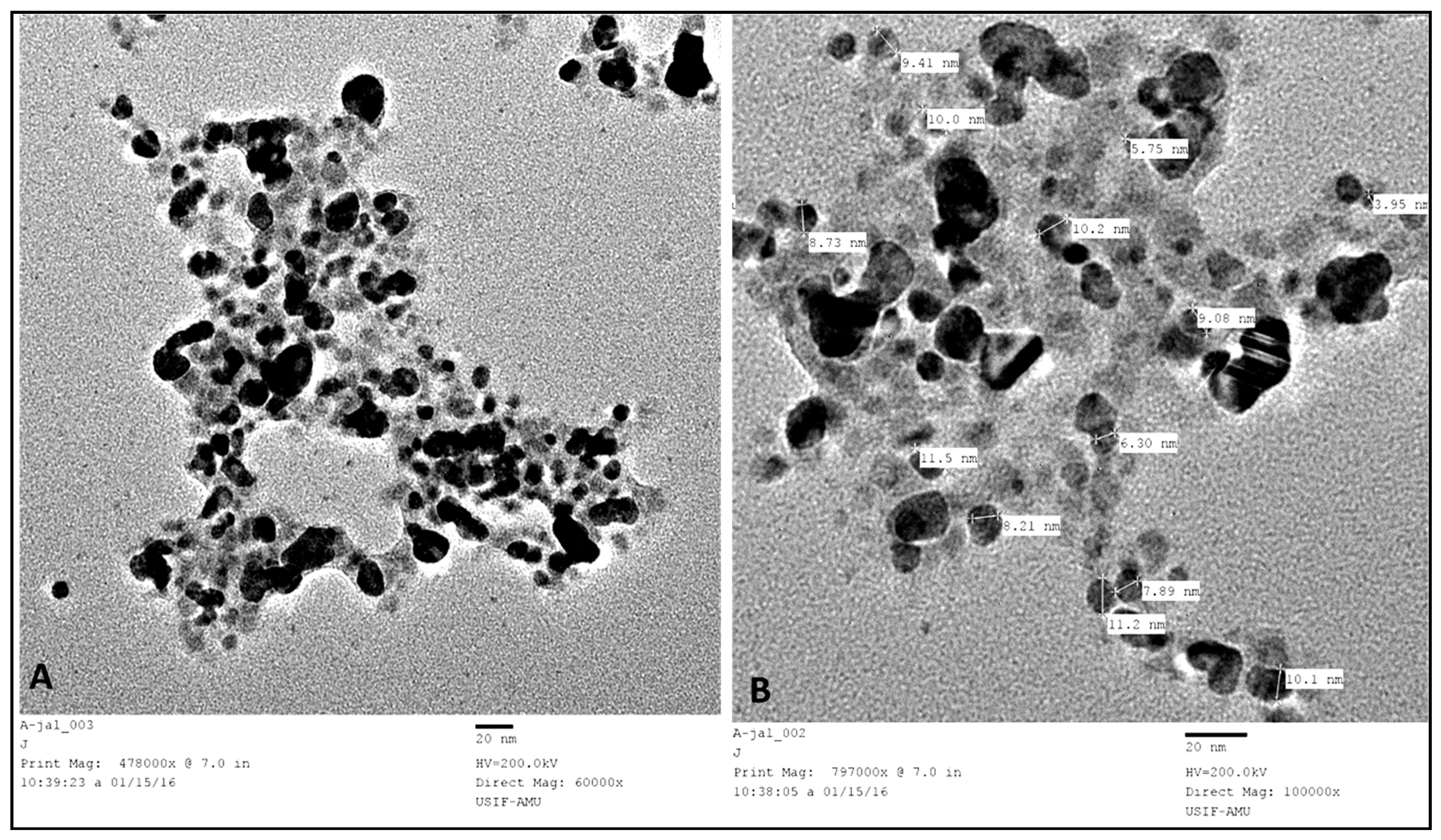Nanomaterials 08 00586 g004