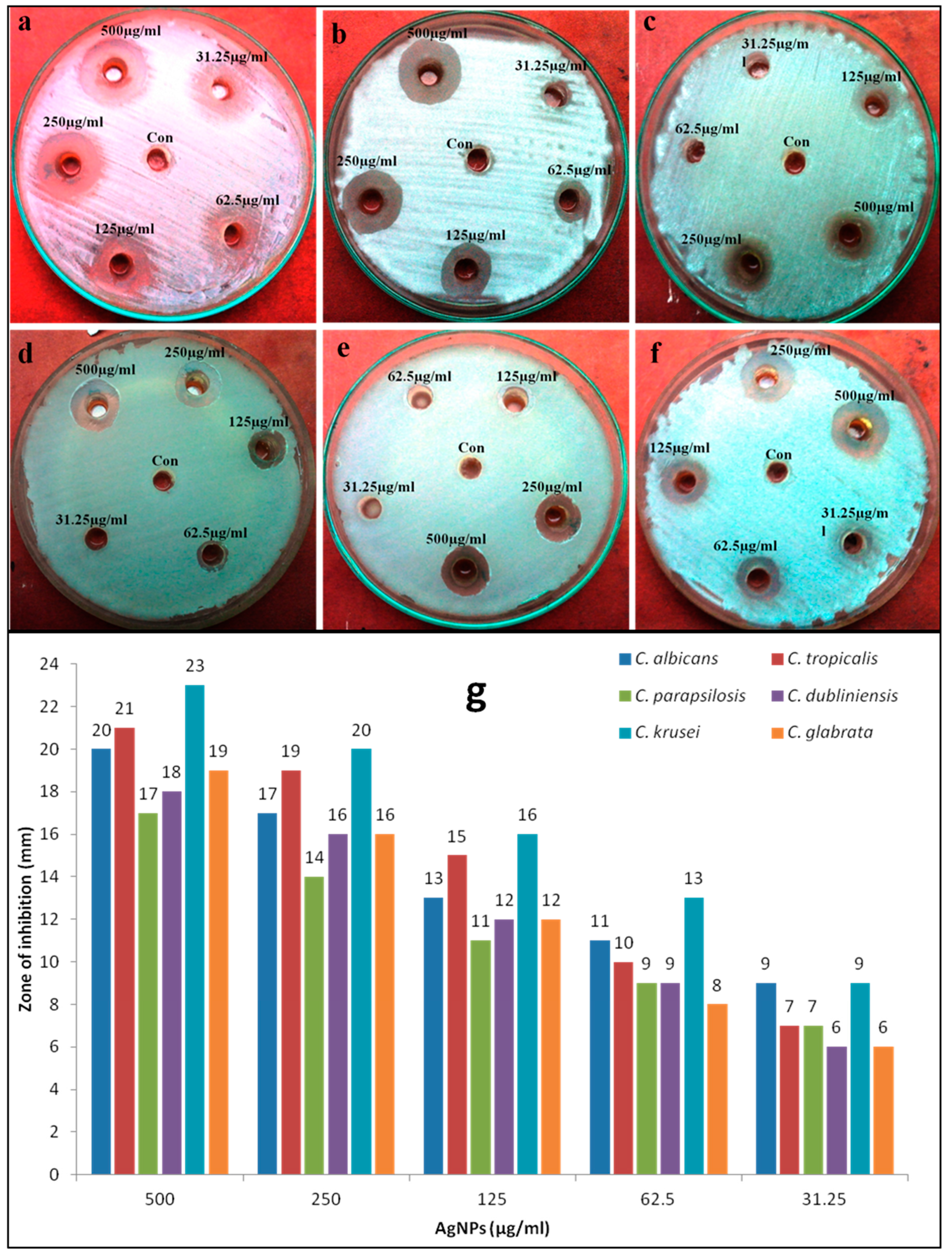 Nanomaterials 08 00586 g005