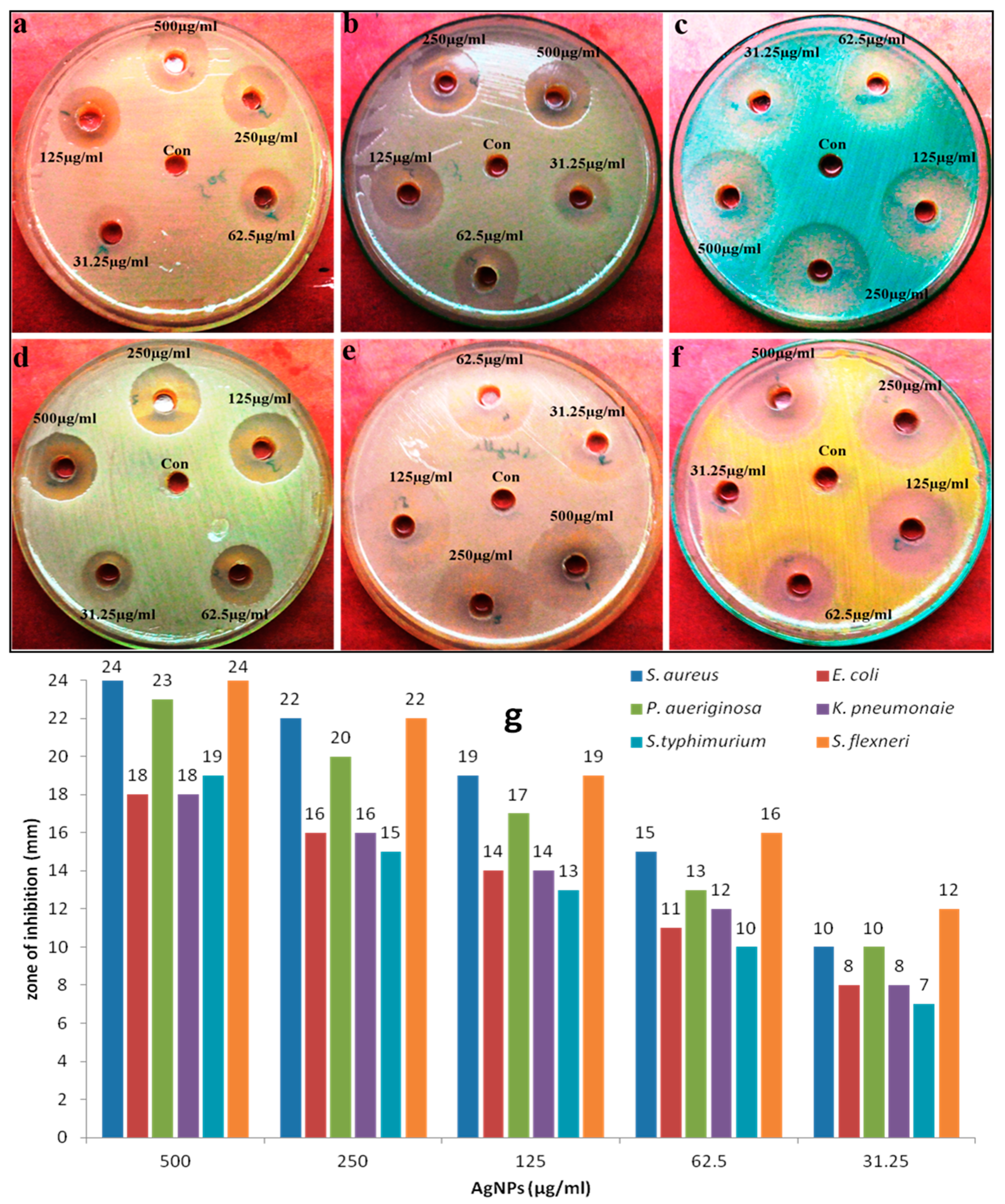Nanomaterials 08 00586 g006