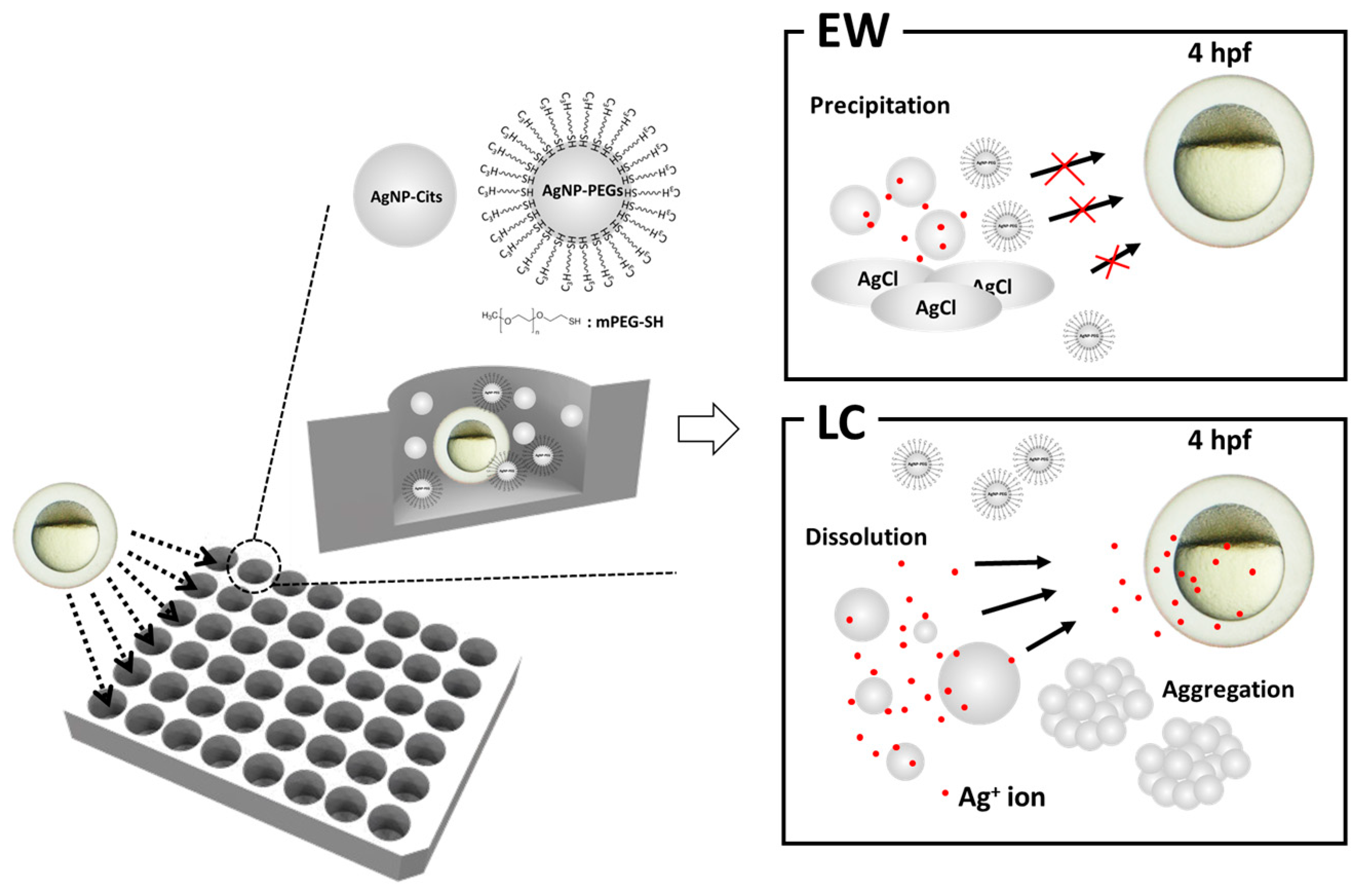Nanomaterials 08 00652 g001