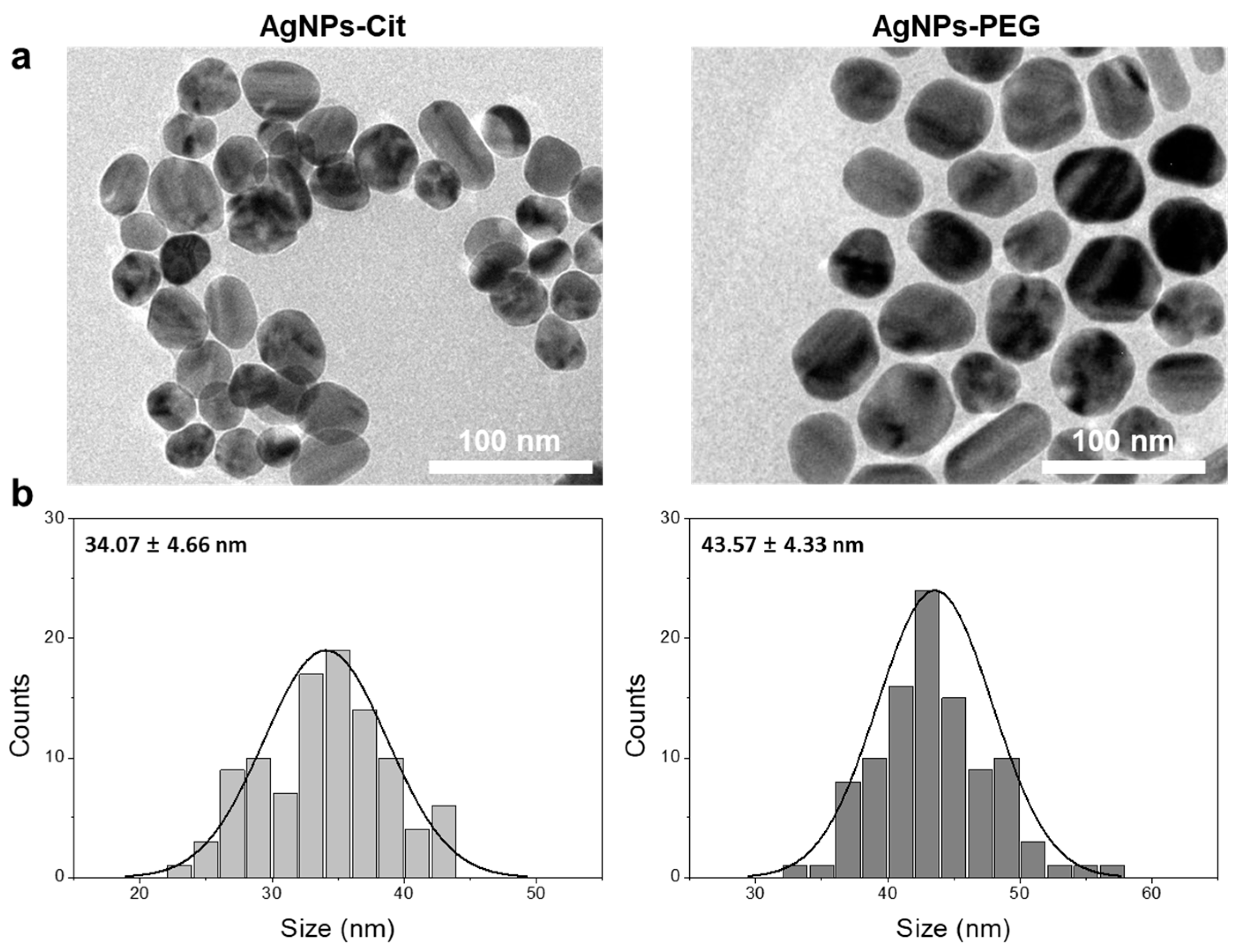 Nanomaterials 08 00652 g002