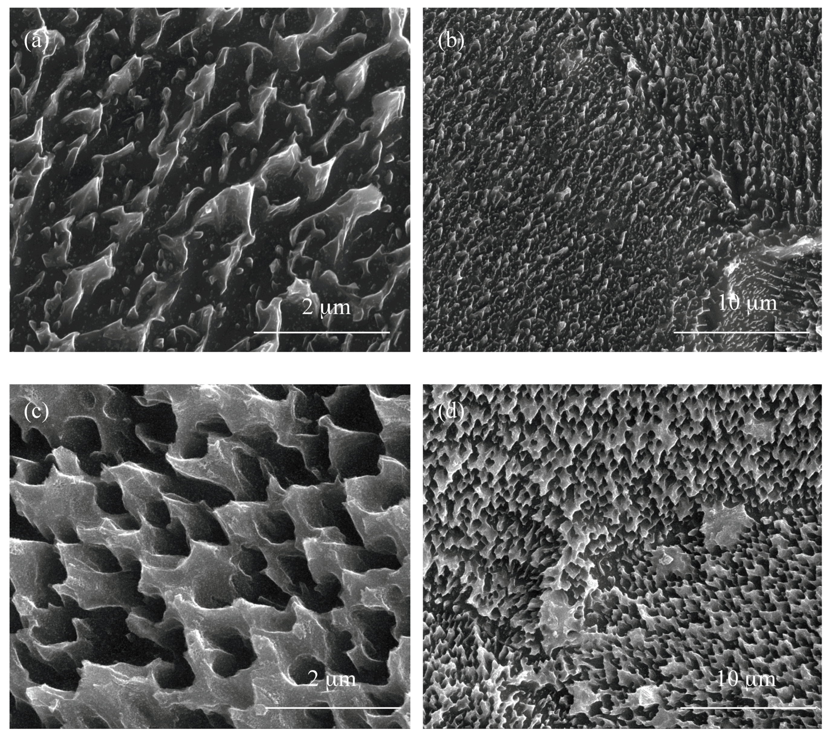 Nanomaterials 08 00712 g002