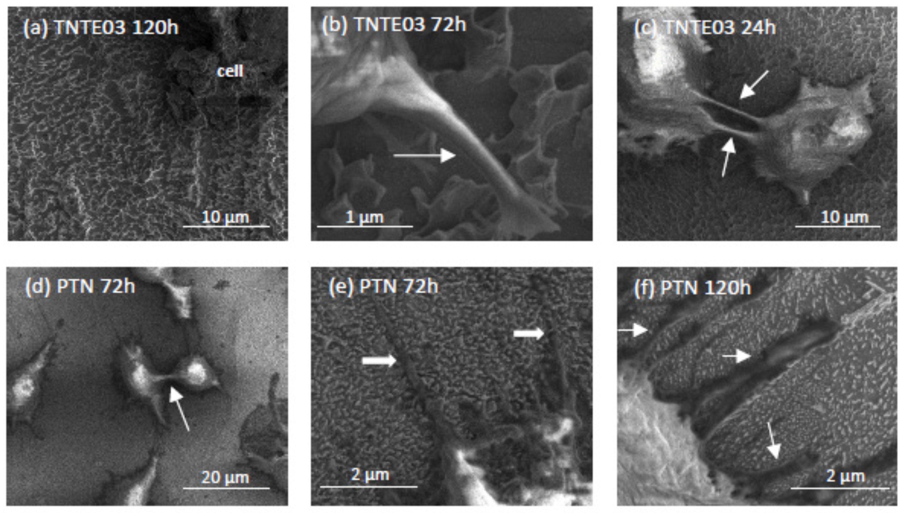 Nanomaterials 08 00712 g008b