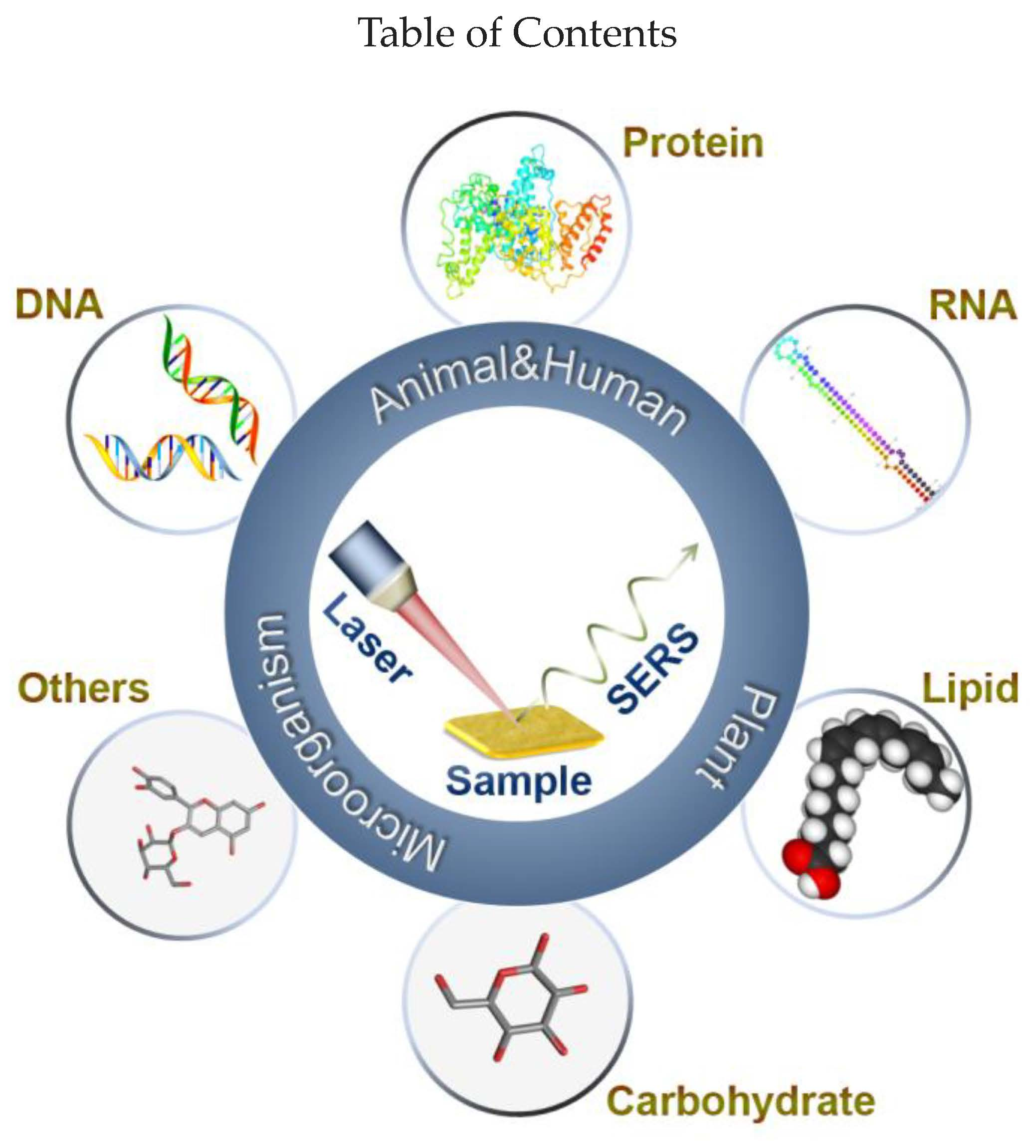 Nanomaterials Free FullText Analysis of Biomolecules Based on the