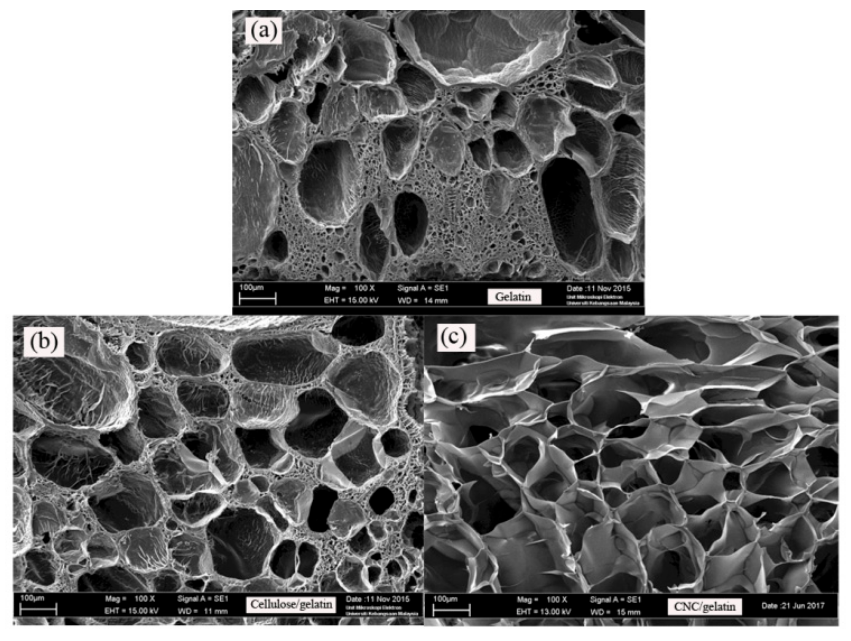 Nanomaterials 08 00749 g007