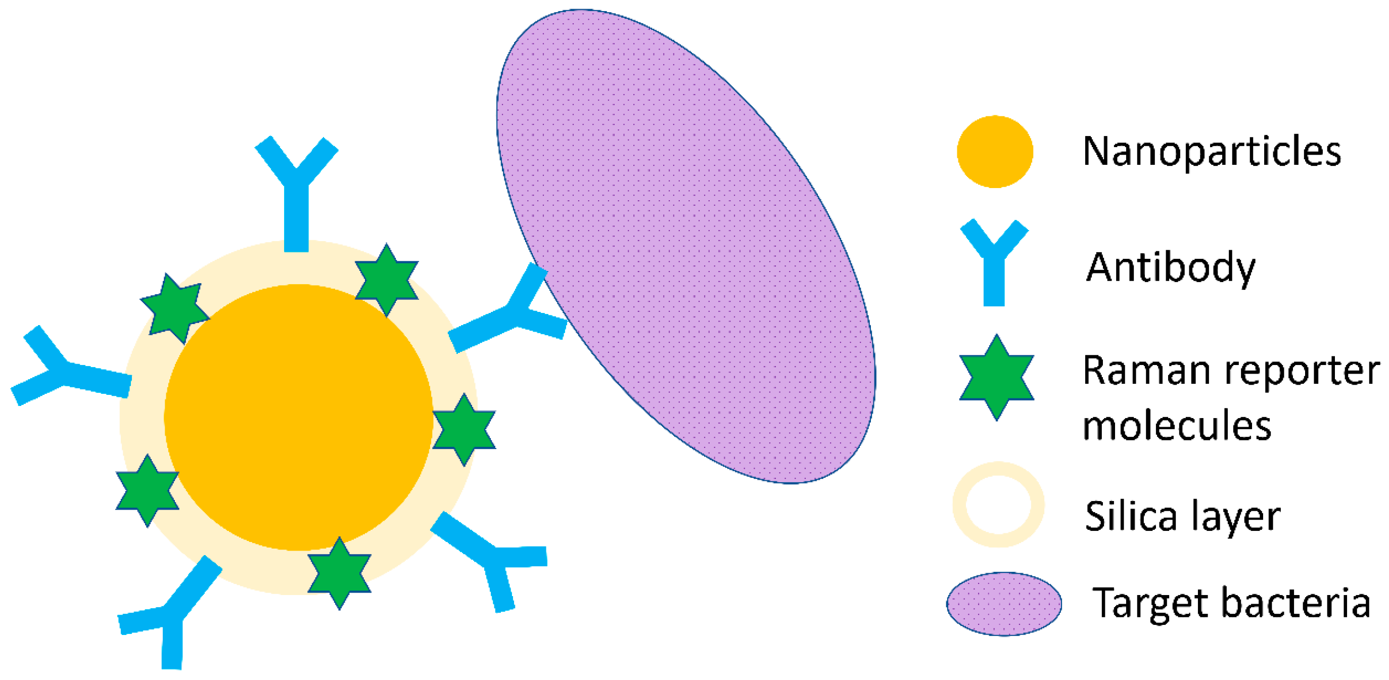 Nanomaterials 08 00762 g003