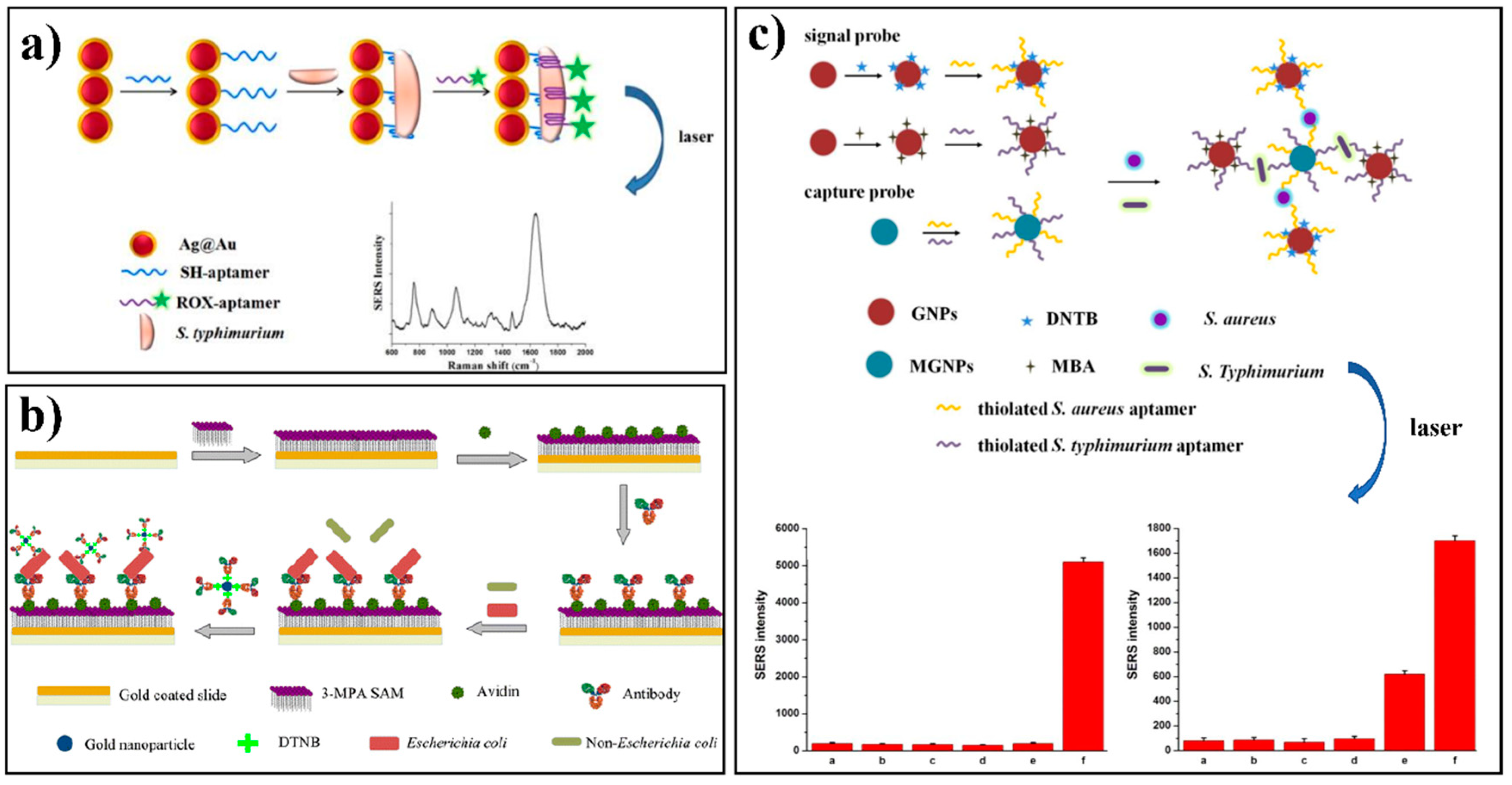 Nanomaterials 08 00762 g004