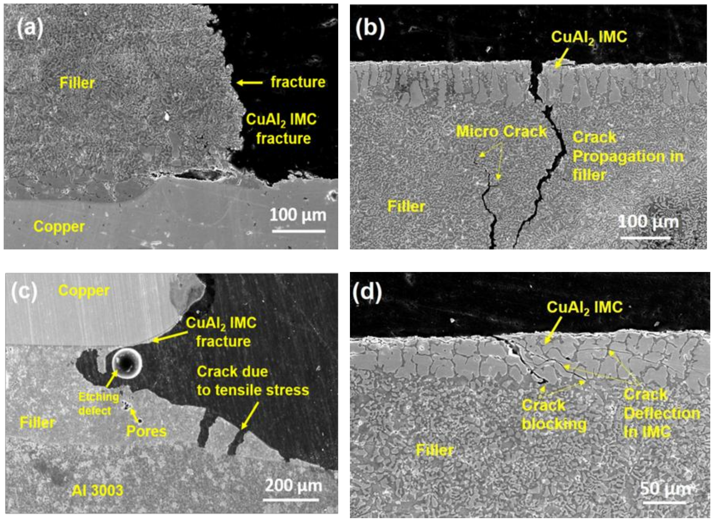 Nanomaterials 08 00784 g010