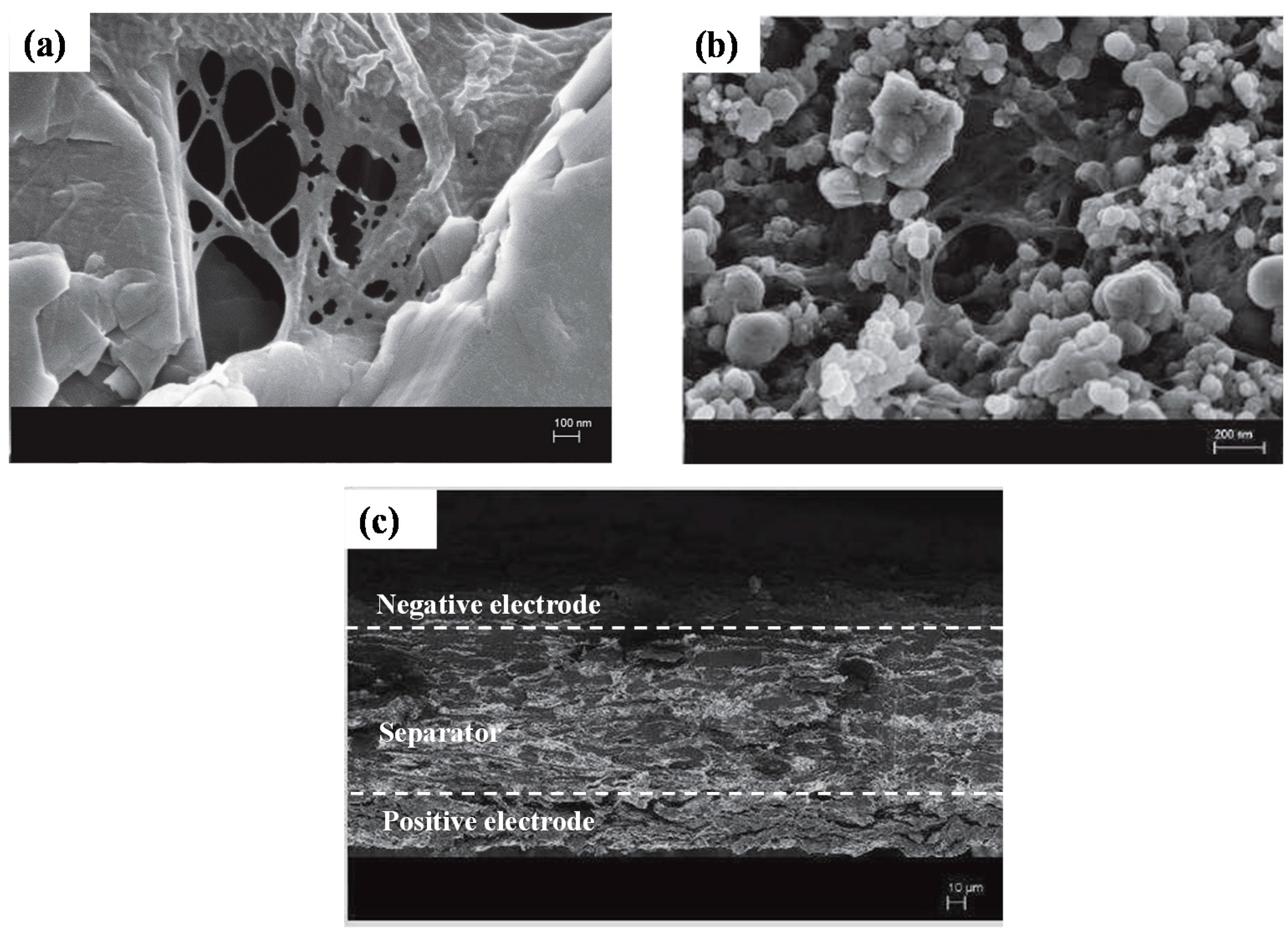 Nanomaterials 08 00982 g004