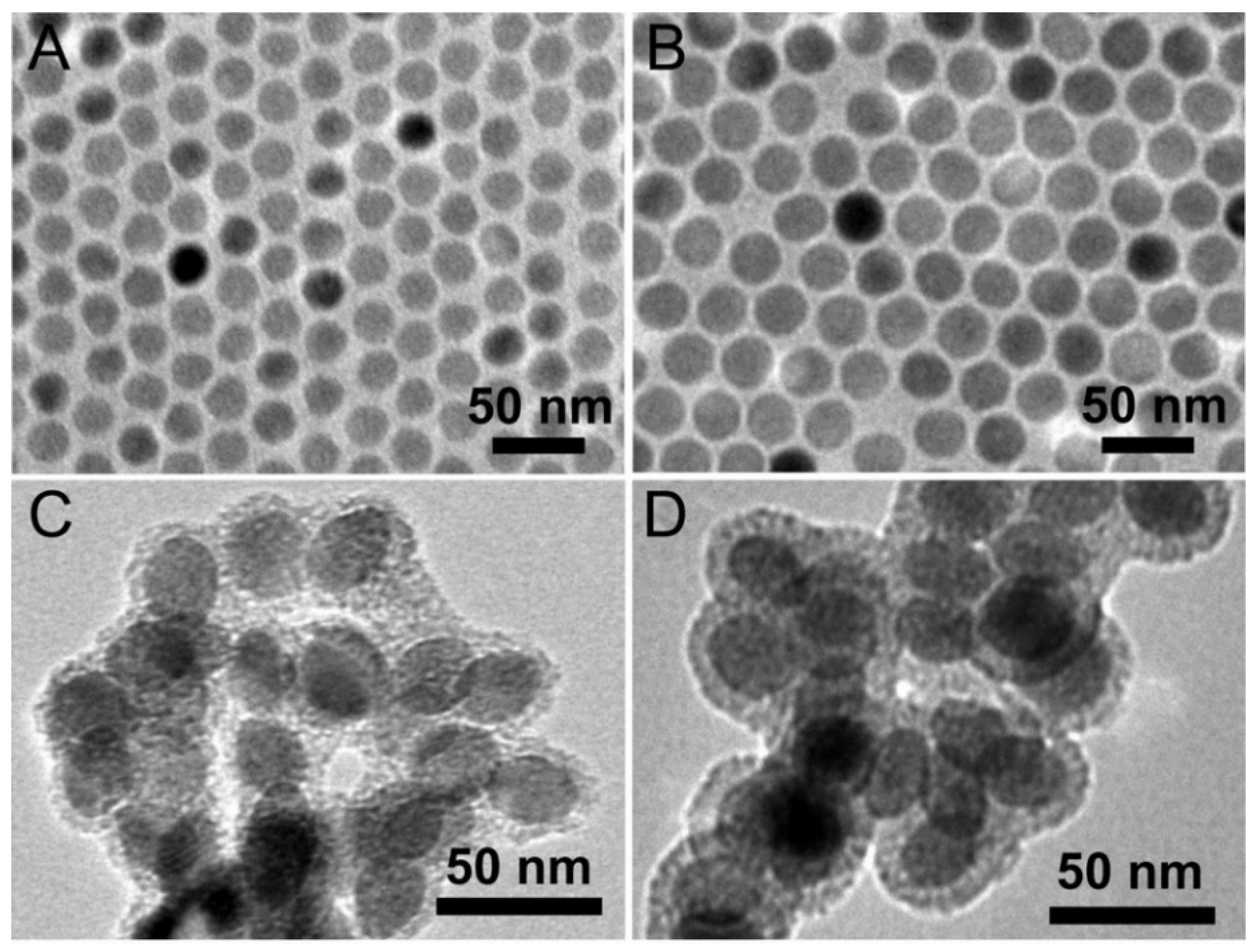 Nanomaterials 08 00989 g001a