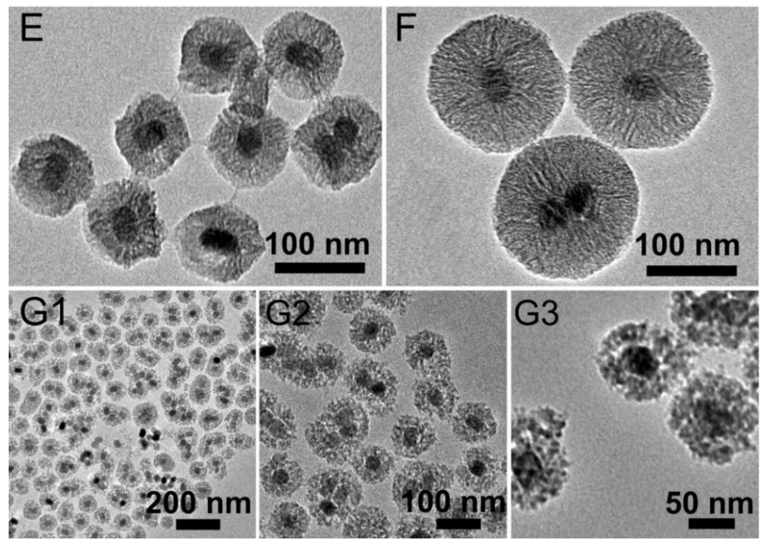 Nanomaterials 08 00989 g001b