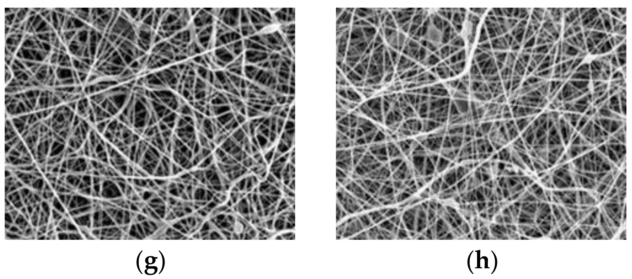 Nanomaterials 09 00034 g004b