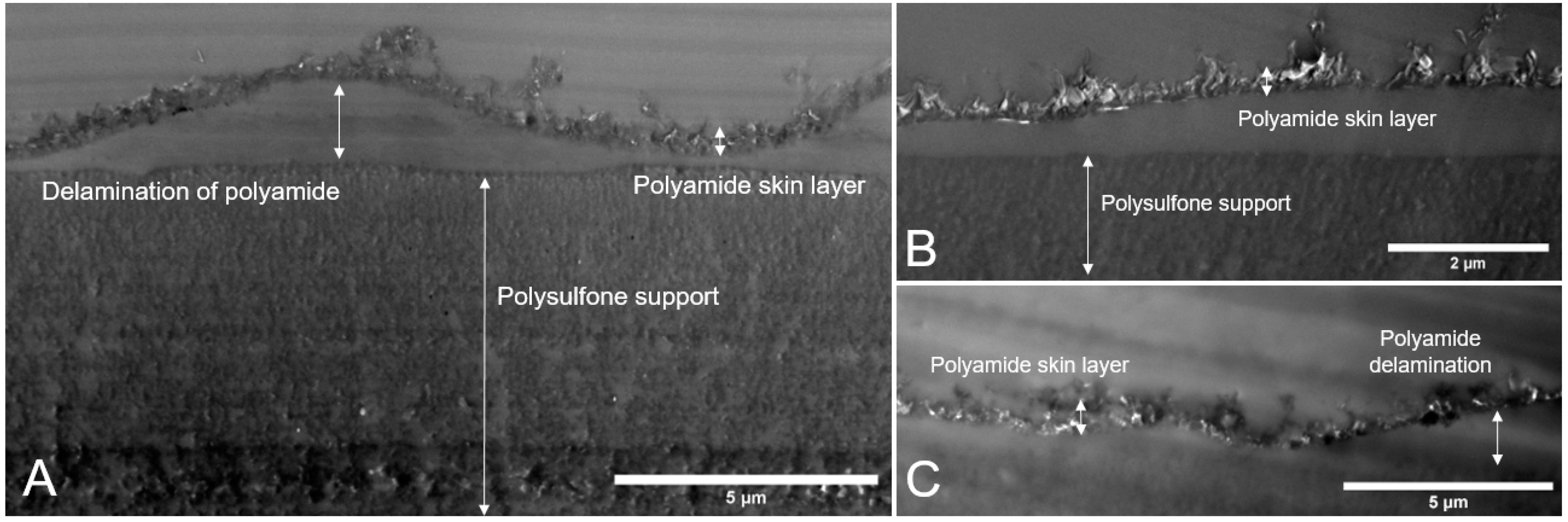 Nanomaterials 09 00125 g006