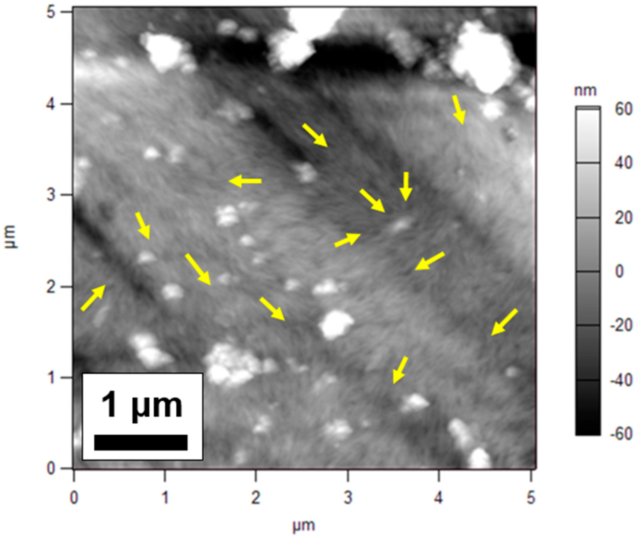 Nanomaterials 09 00125 g007