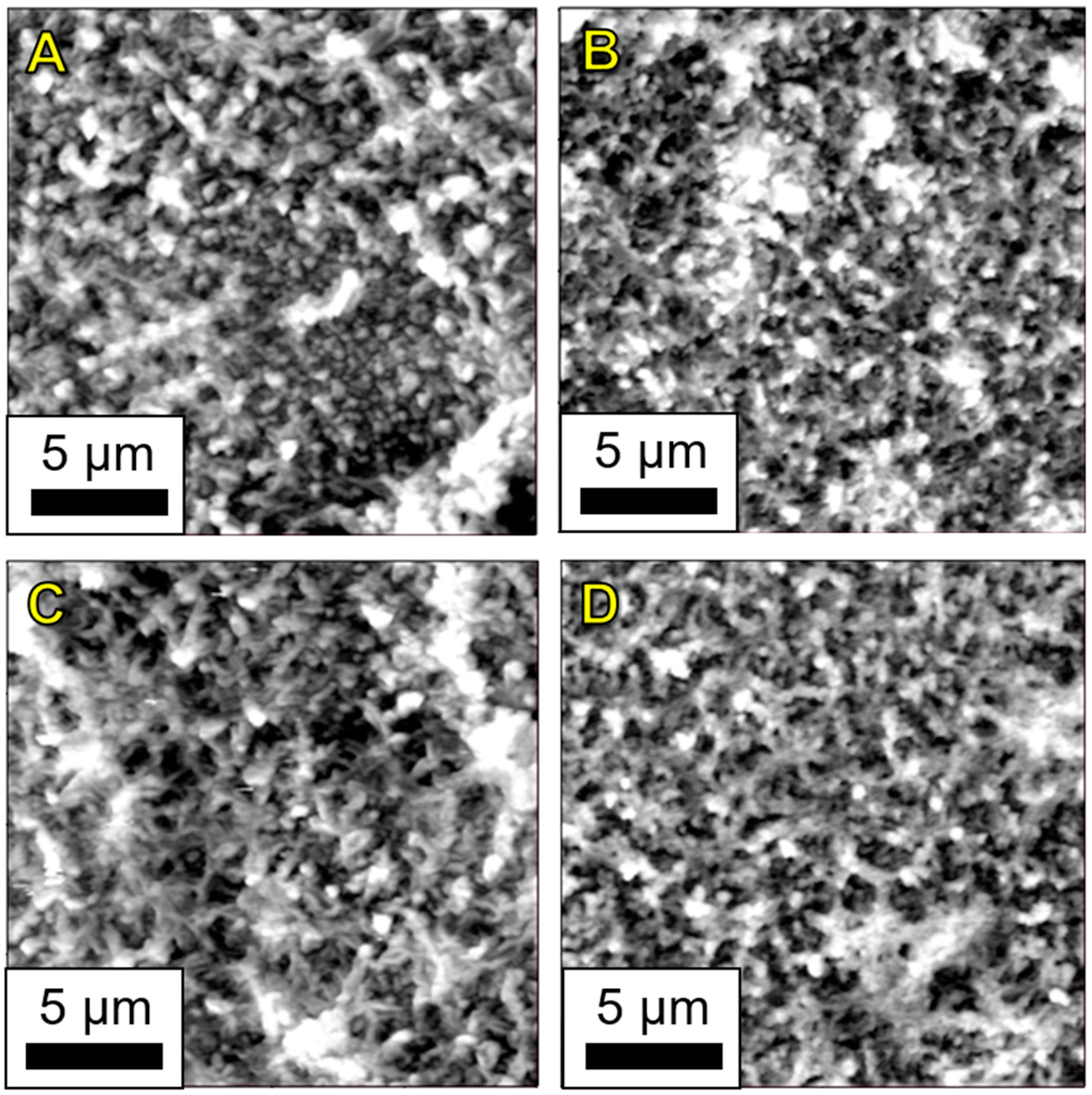 Nanomaterials 09 00125 g009