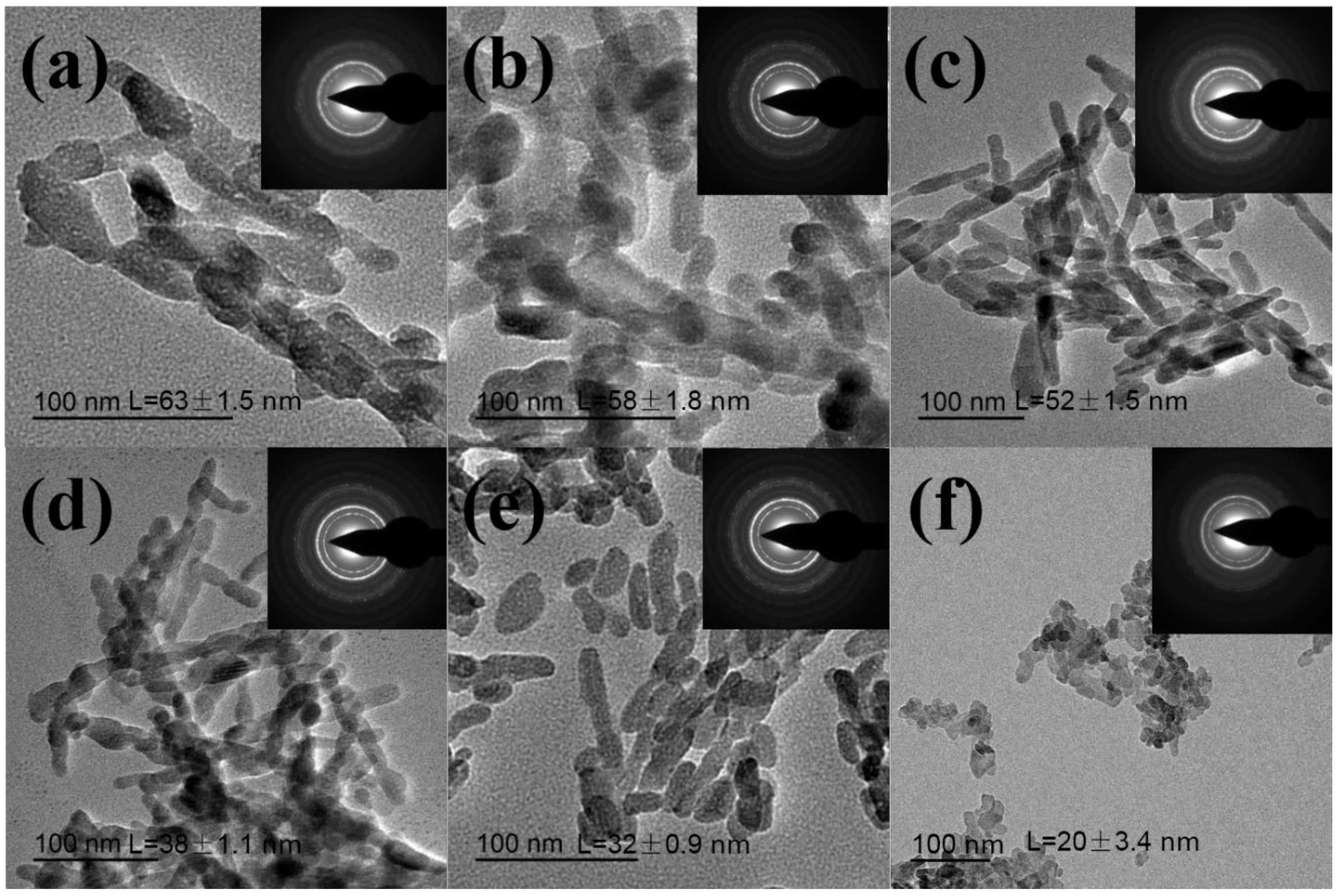 Nanomaterials 09 00241 g003
