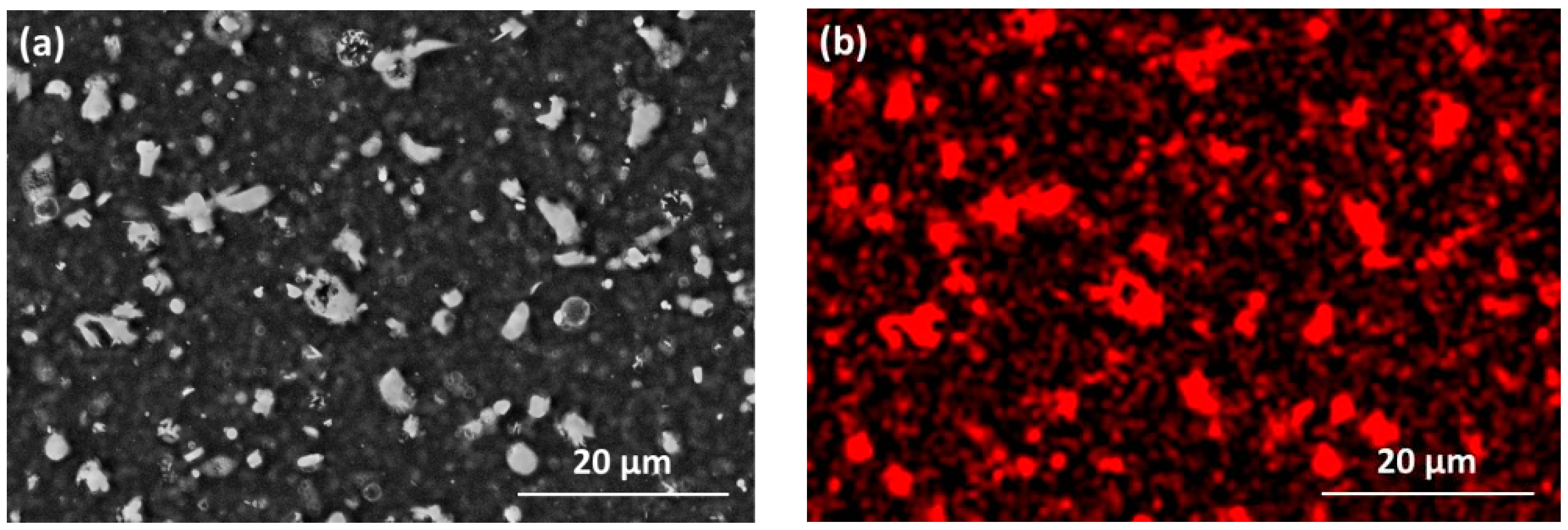 Nanomaterials 09 00255 g002