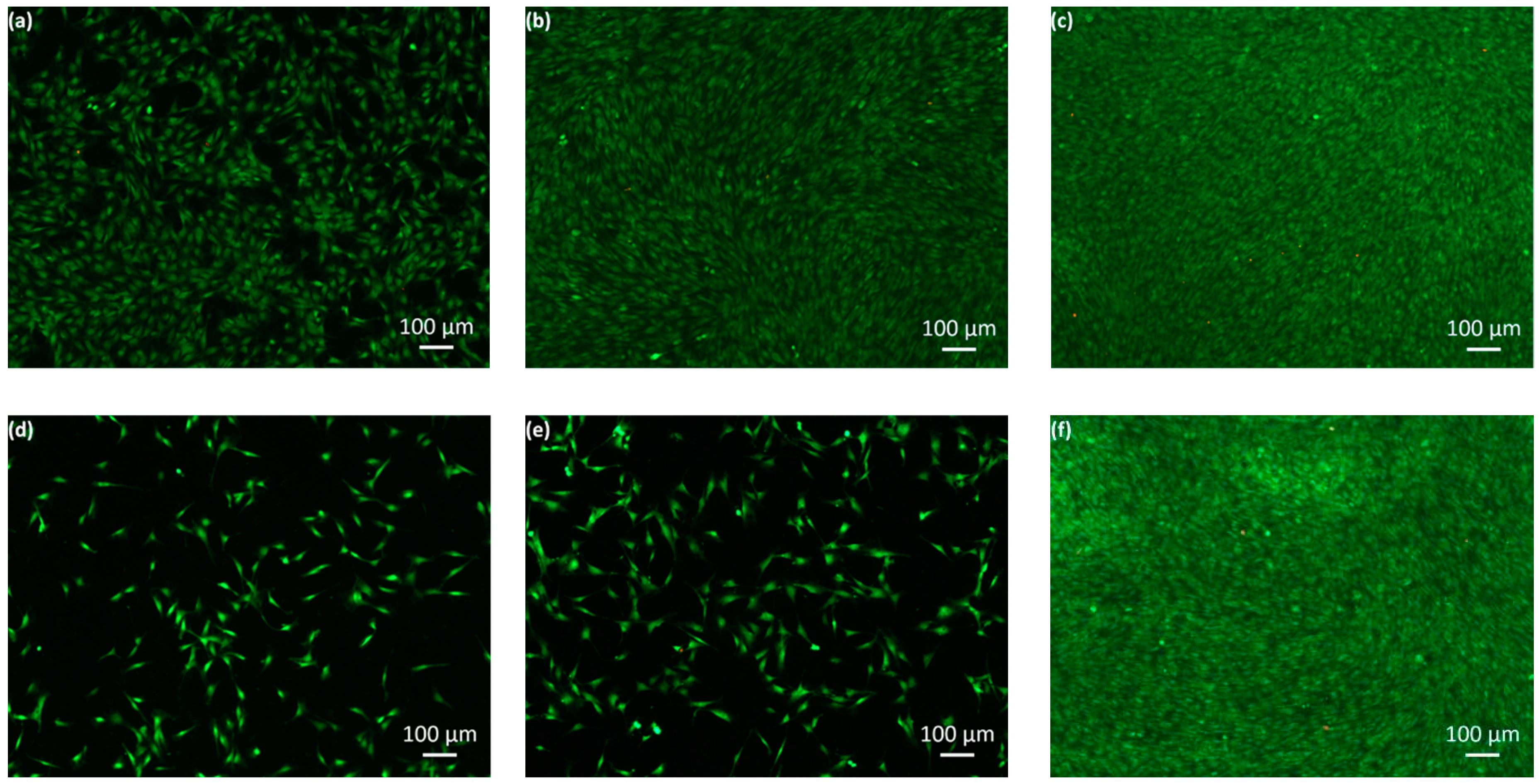Nanomaterials 09 00255 g007a
