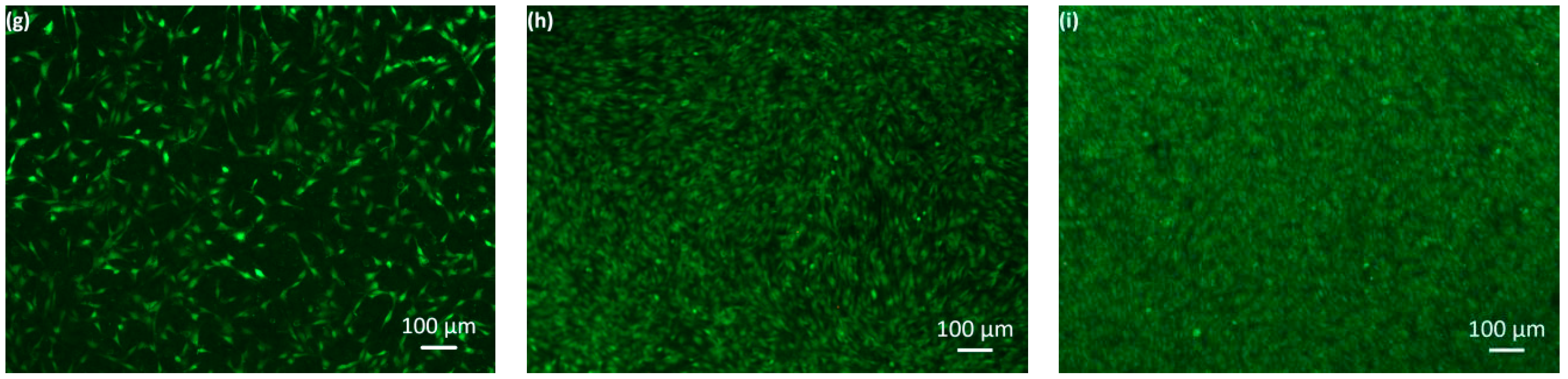 Nanomaterials 09 00255 g007b