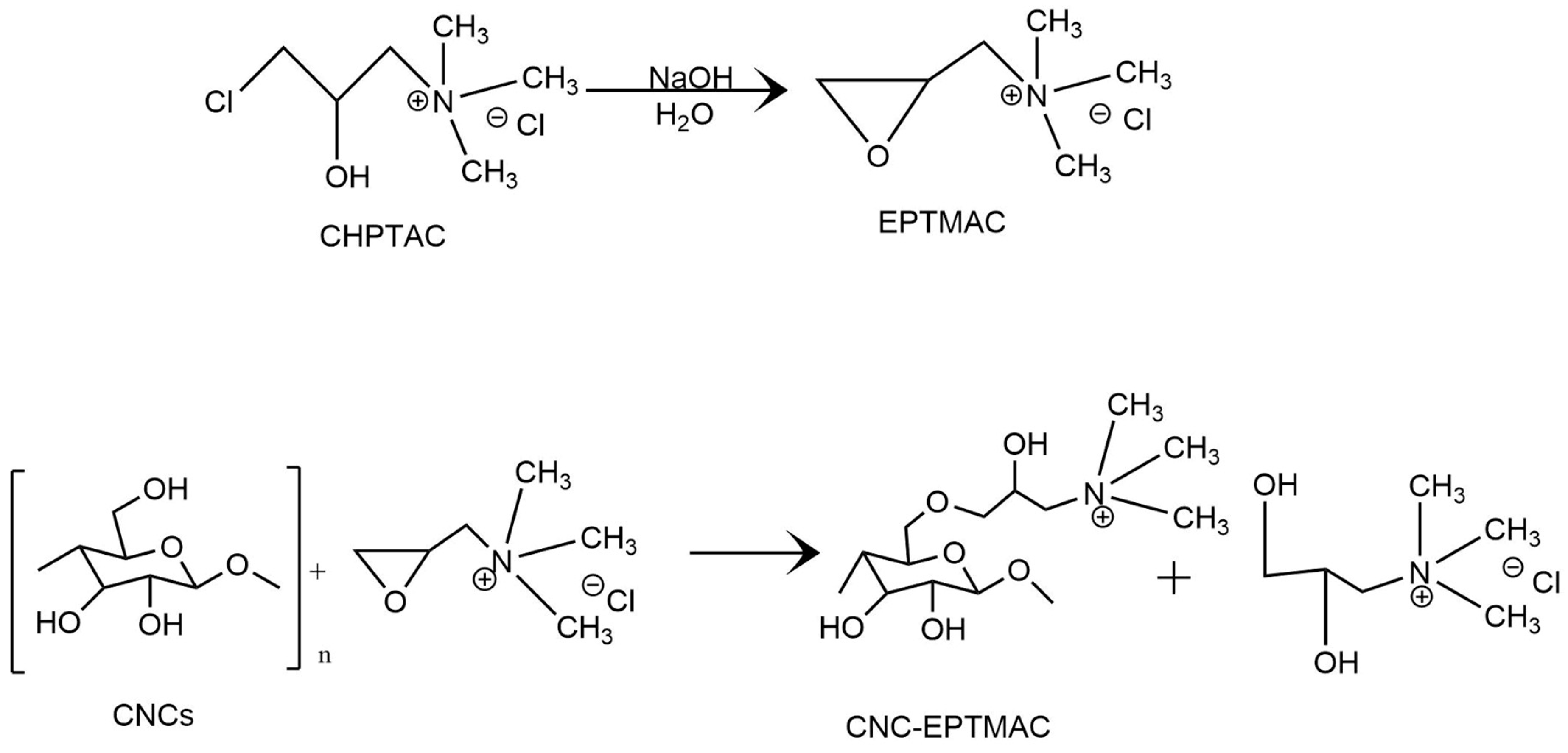 Nanomaterials 09 00272 g001
