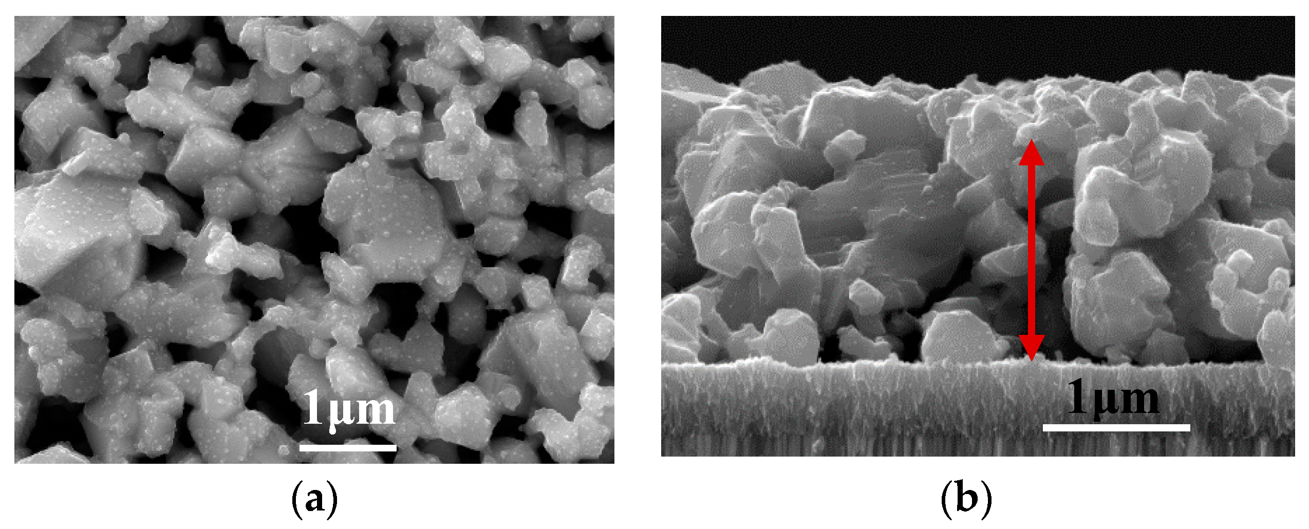 Nanomaterials 09 00336 g006
