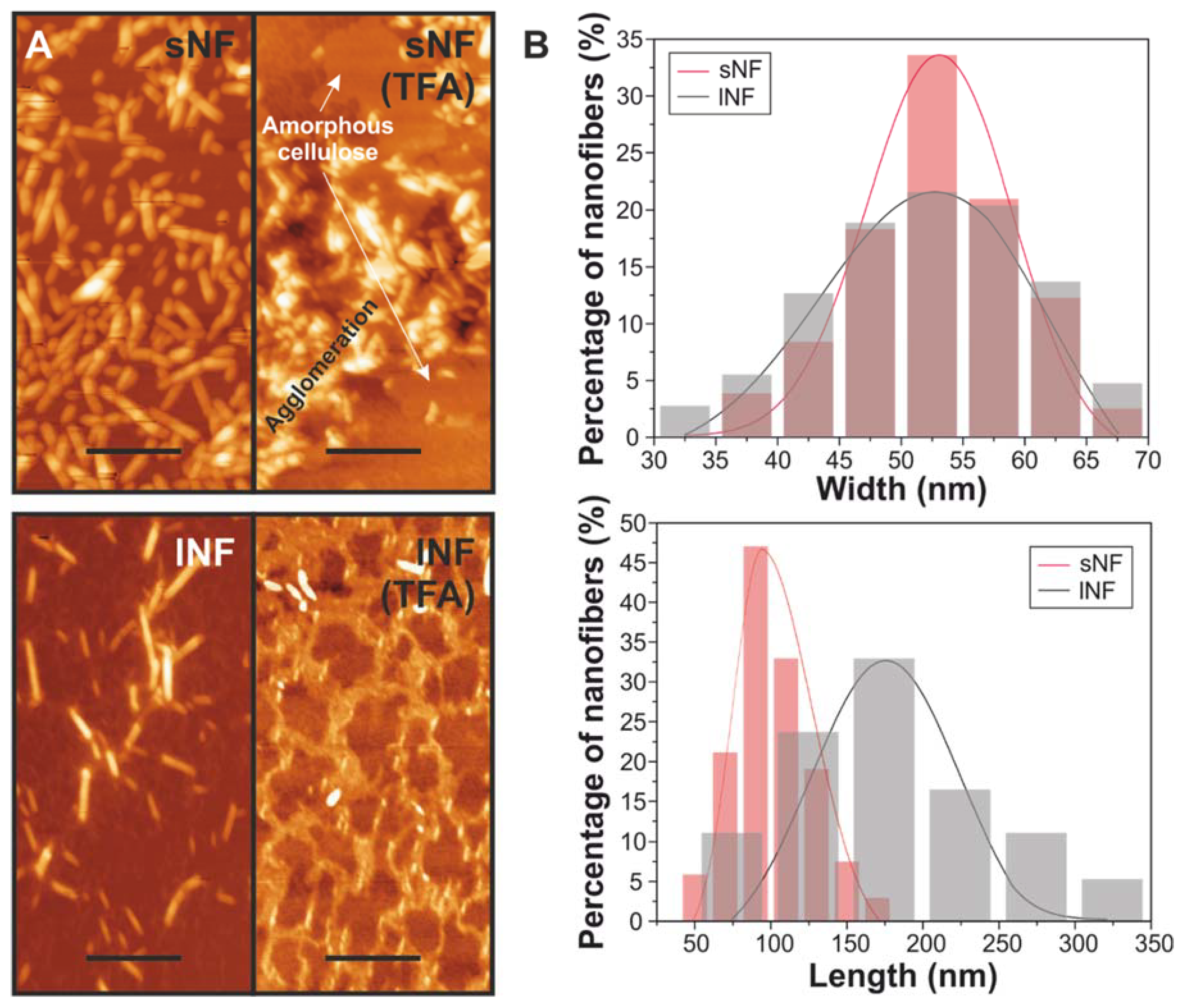 Nanomaterials 09 00368 g001