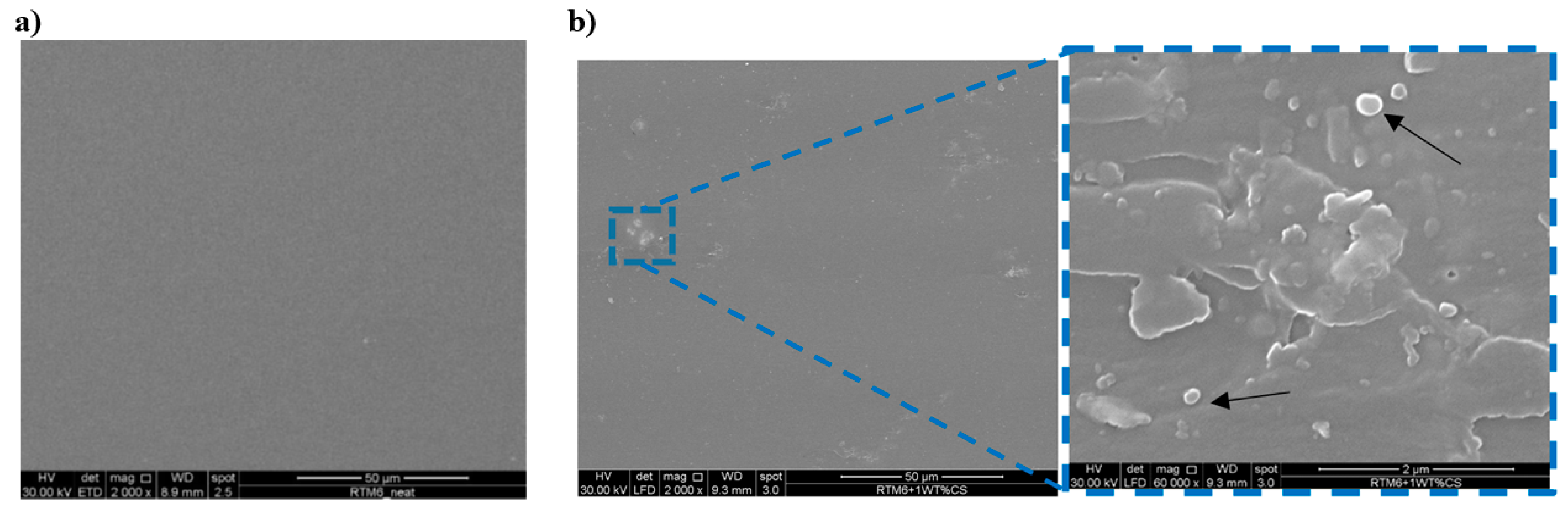 Nanomaterials 09 00418 g013