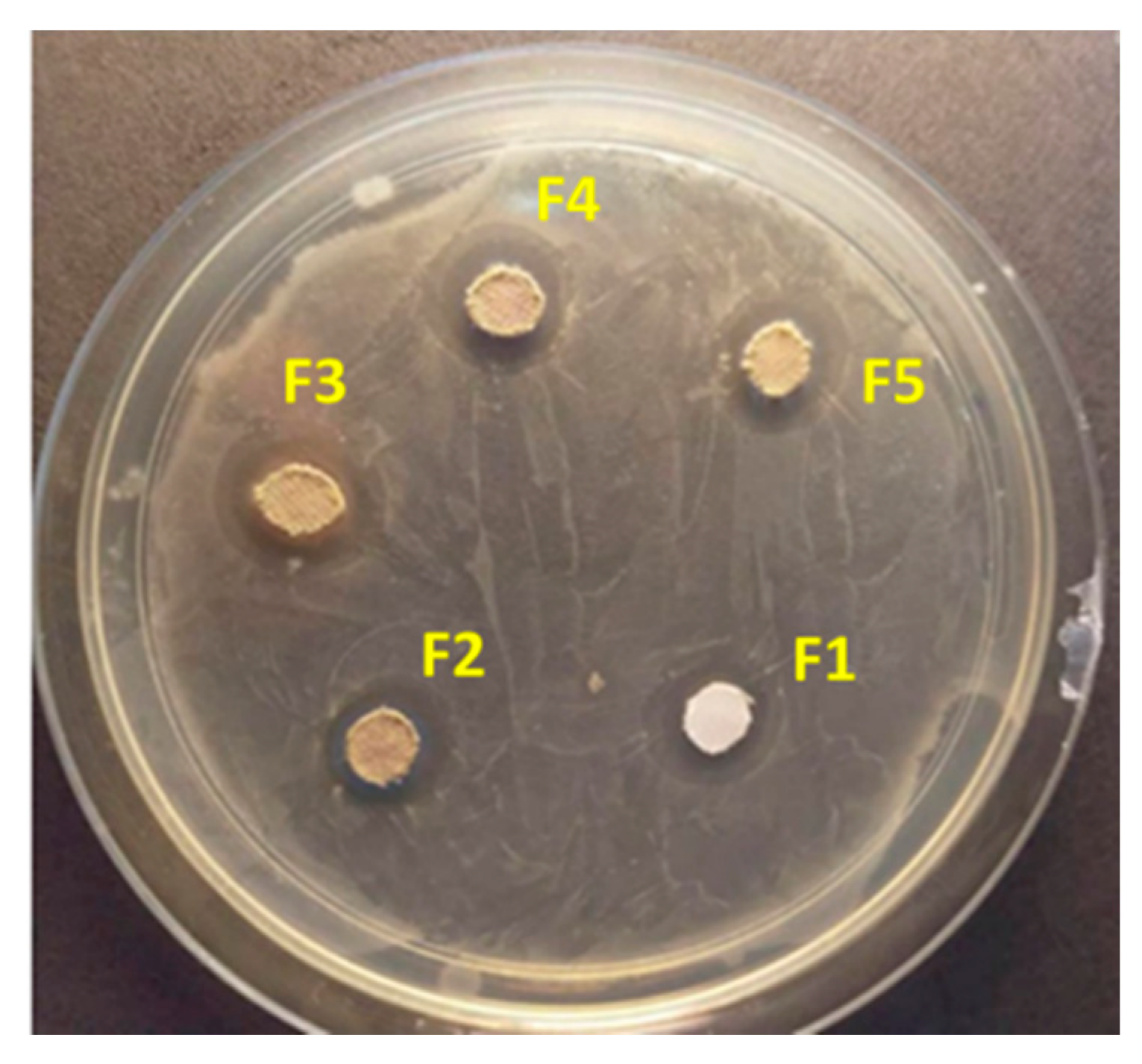 Nanomaterials 09 00450 g006