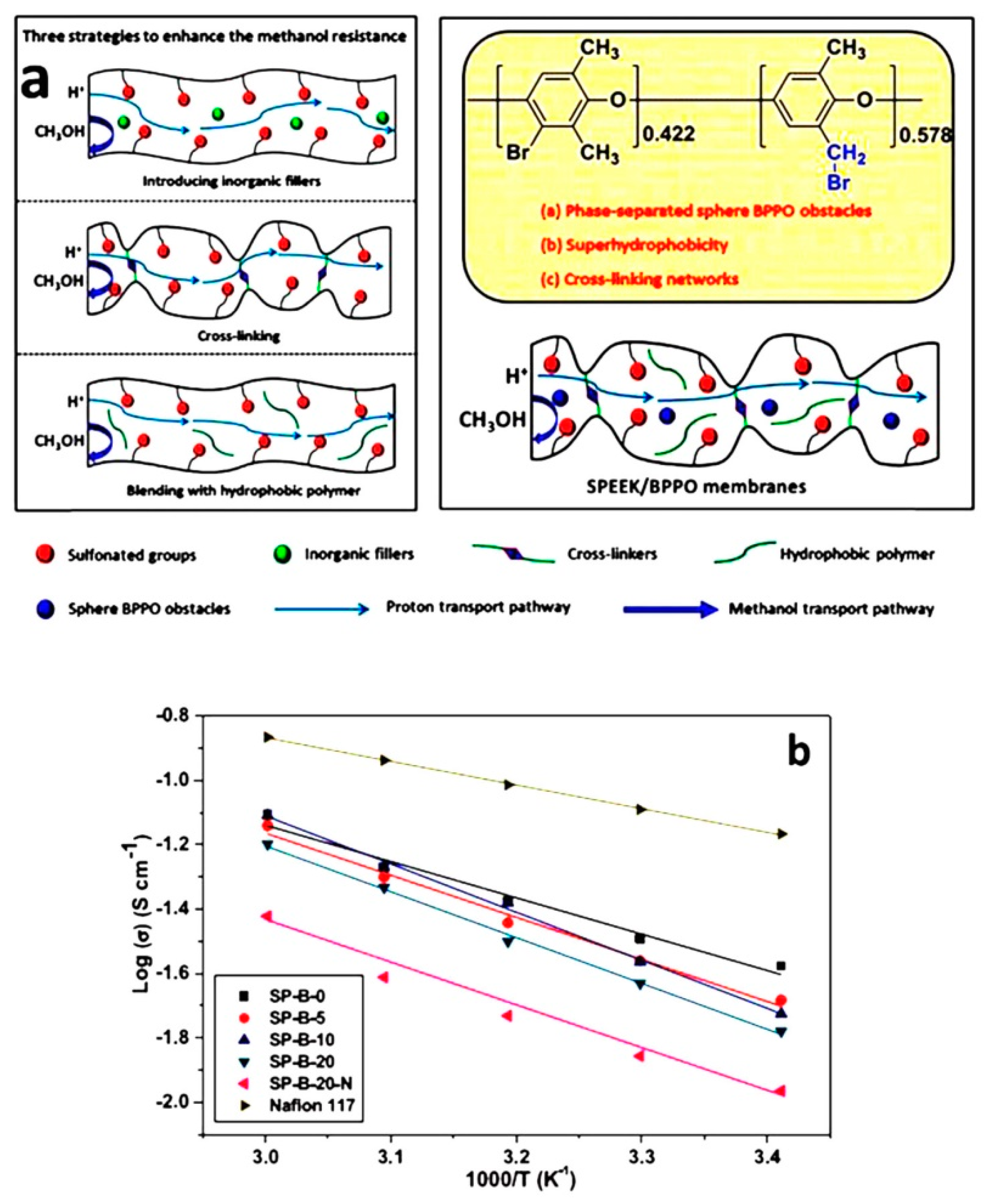 Nanomaterials 09 00668 g006