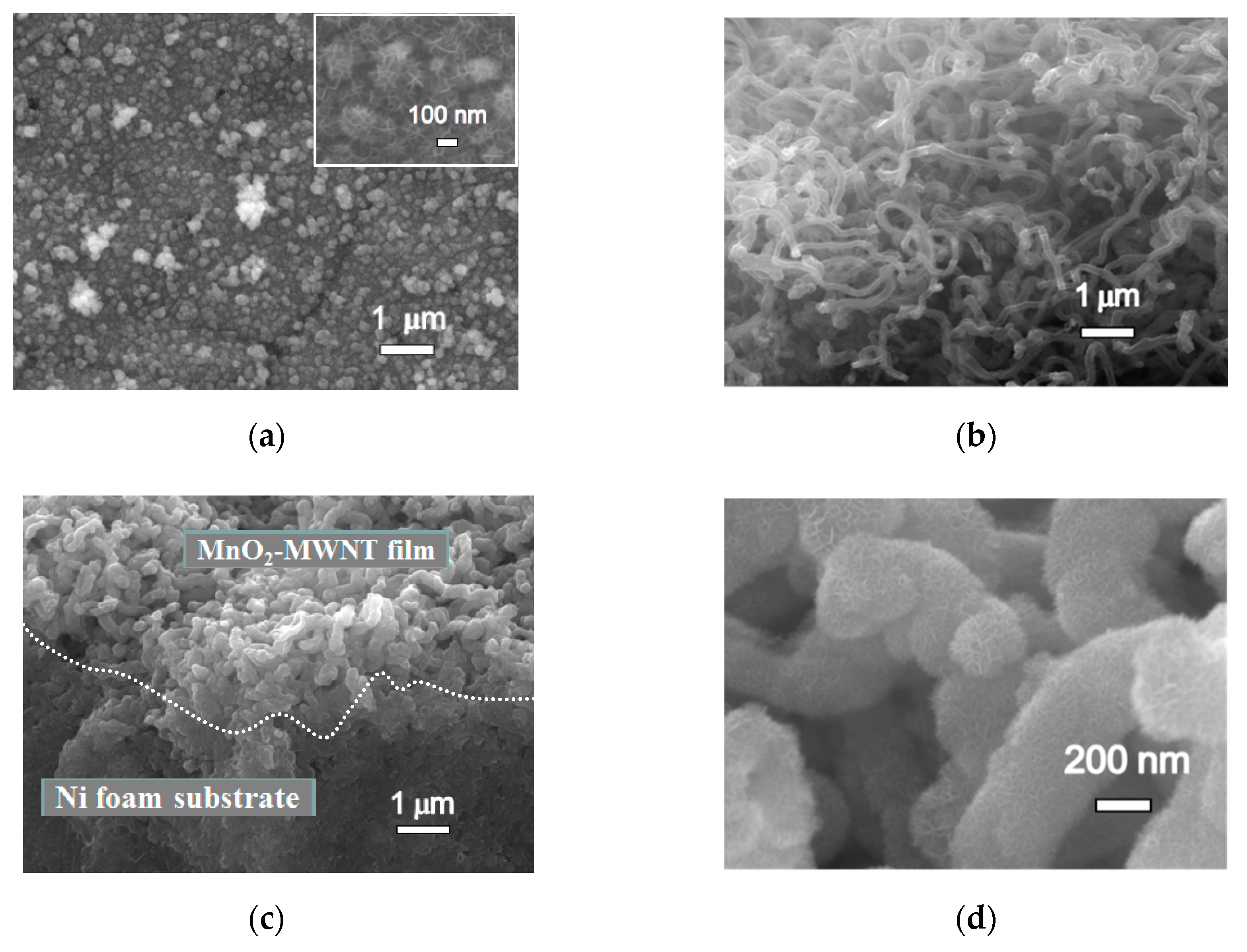 Nanomaterials 09 00703 g002a