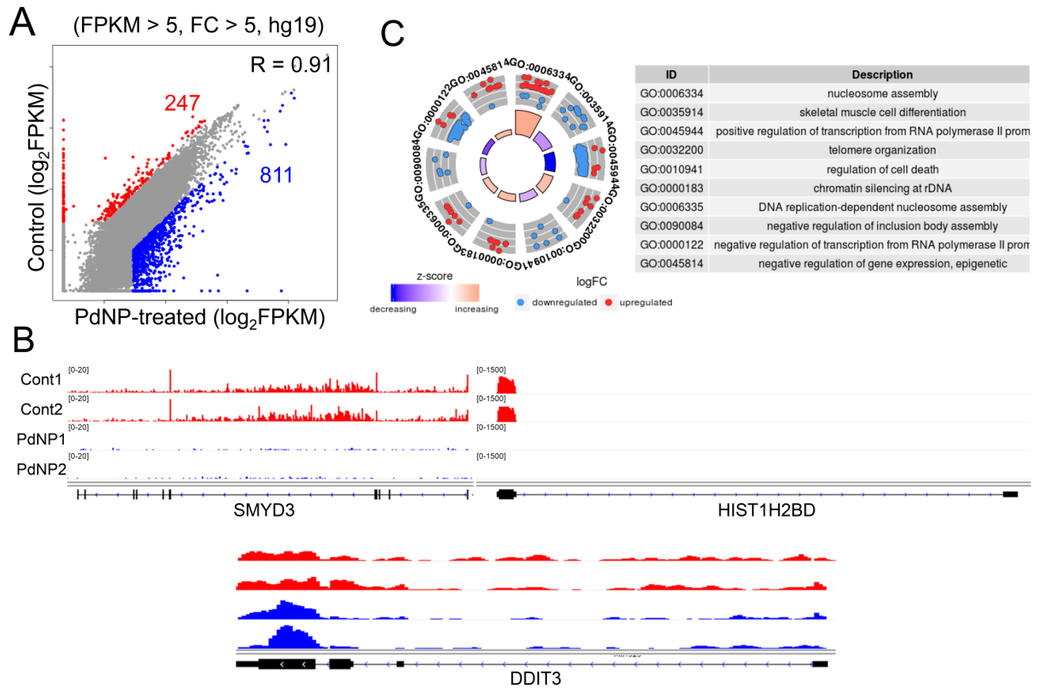 Nanomaterials 09 00787 g009
