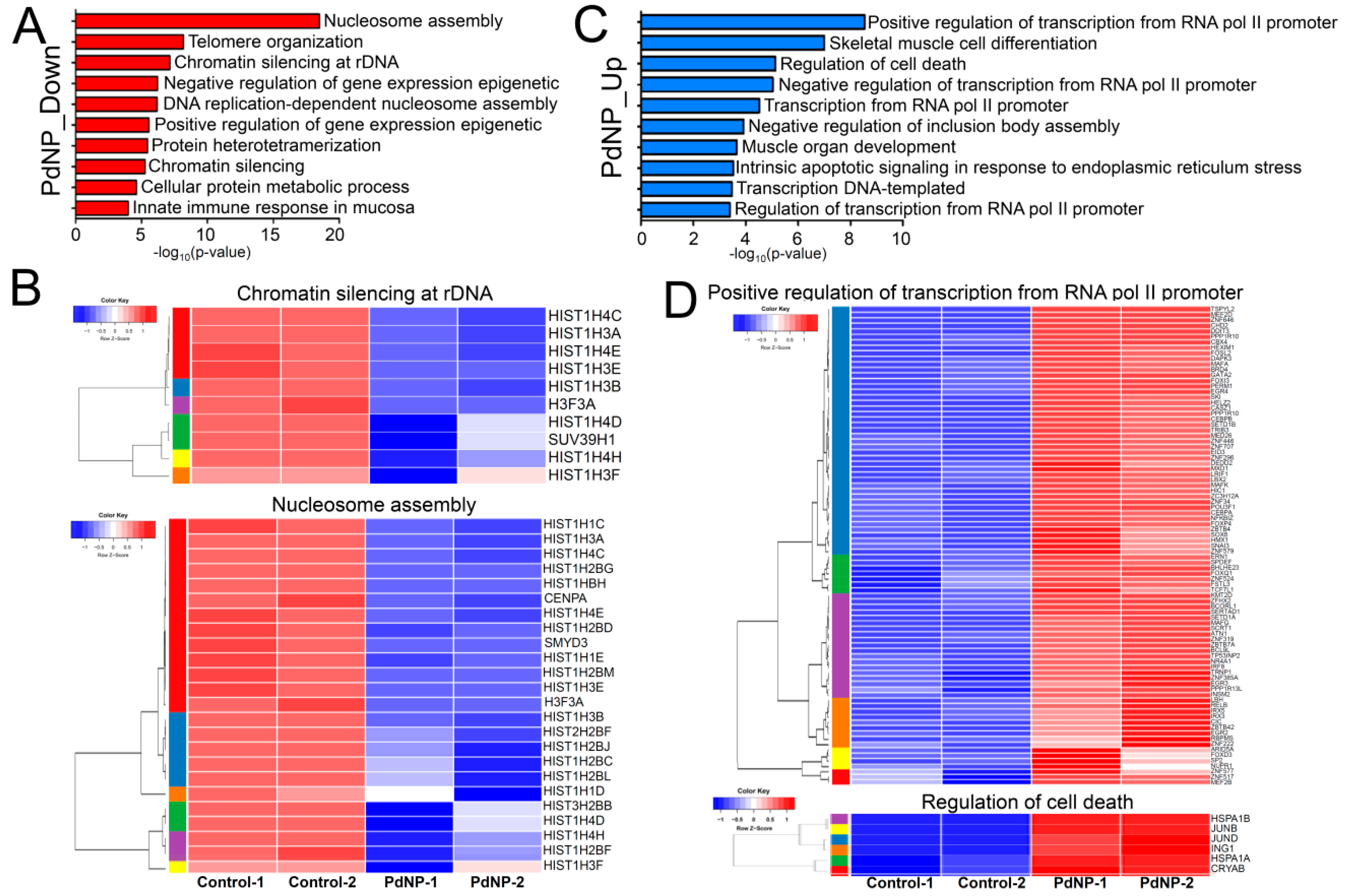 Nanomaterials 09 00787 g010