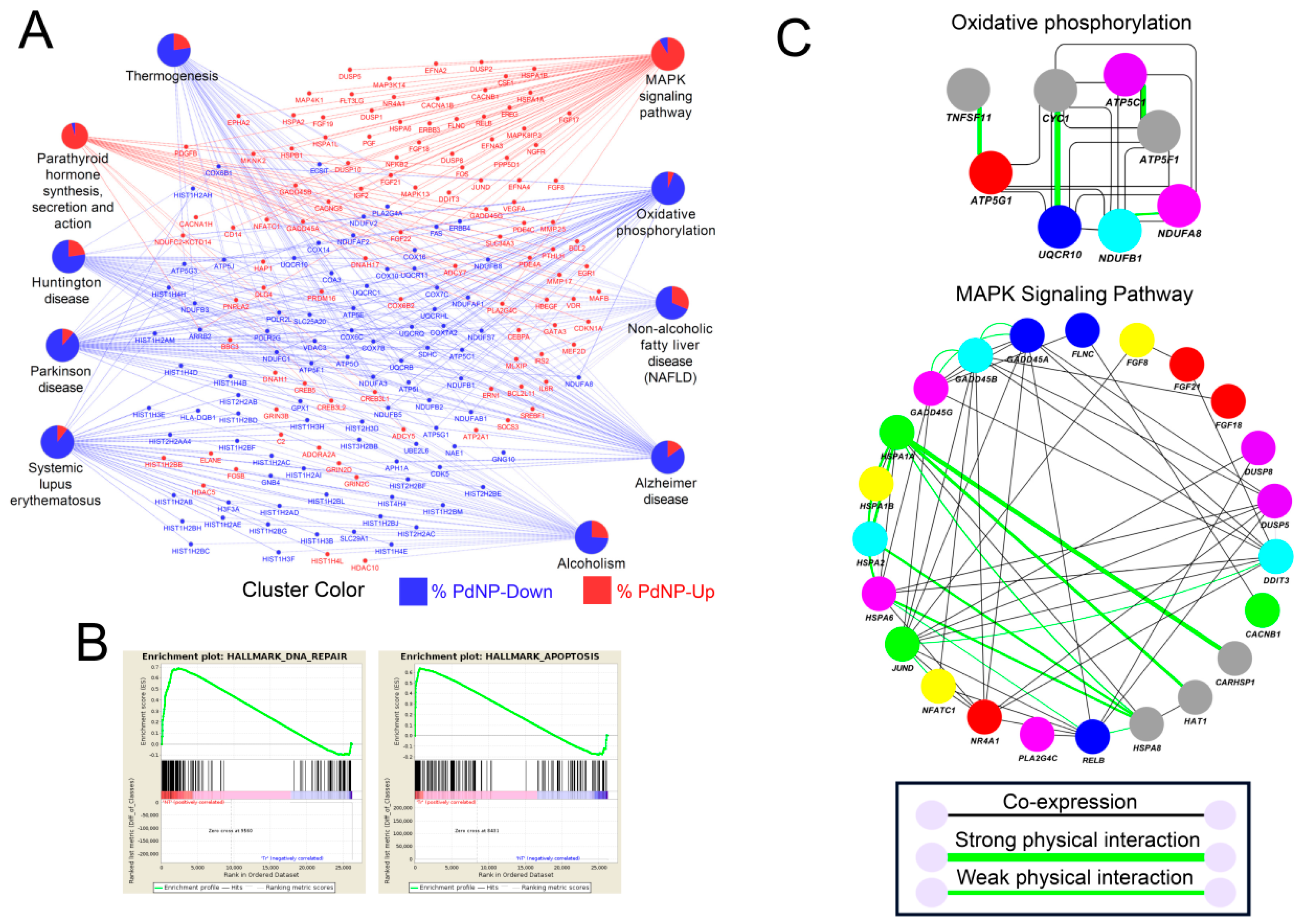 Nanomaterials 09 00787 g011