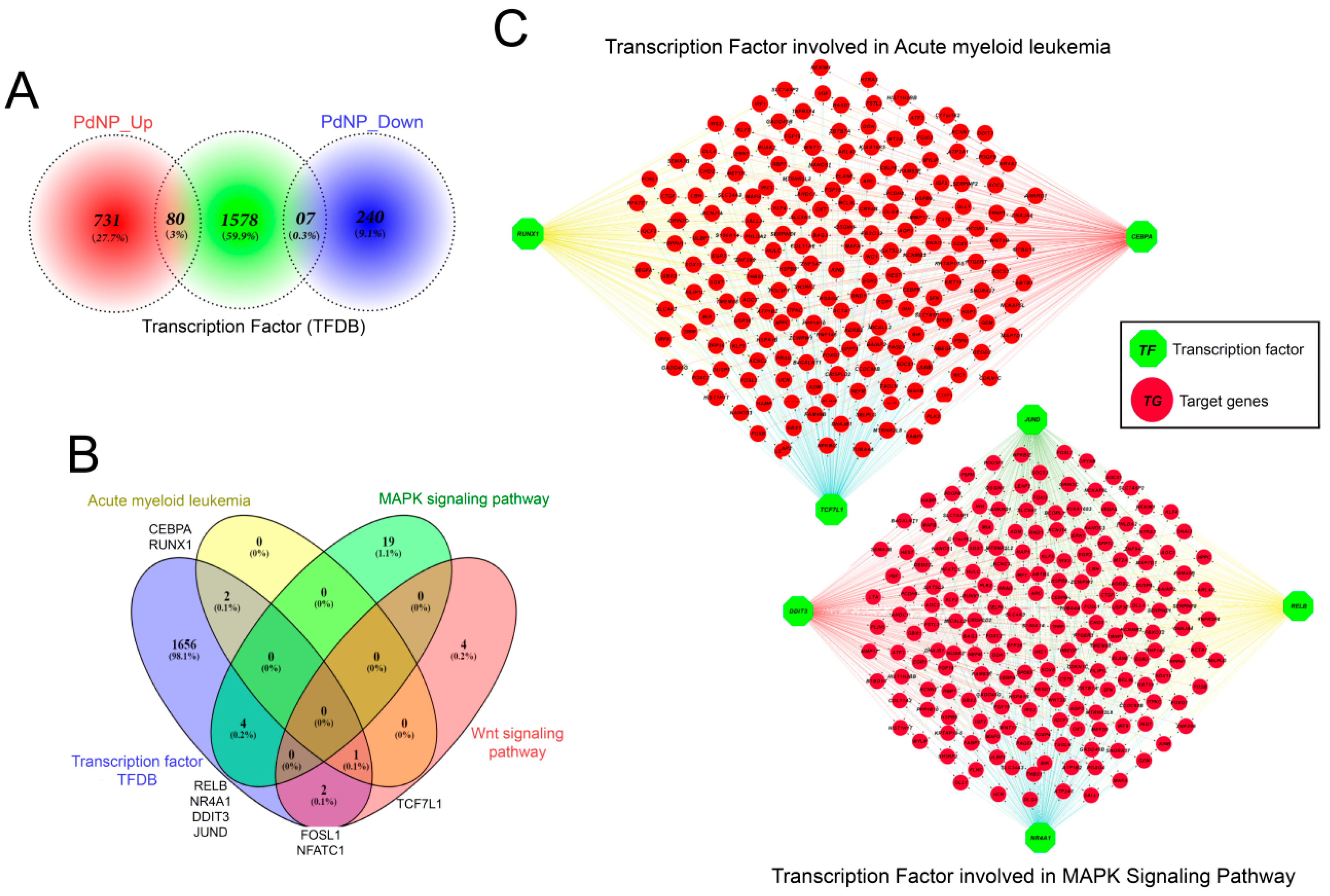 Nanomaterials 09 00787 g012