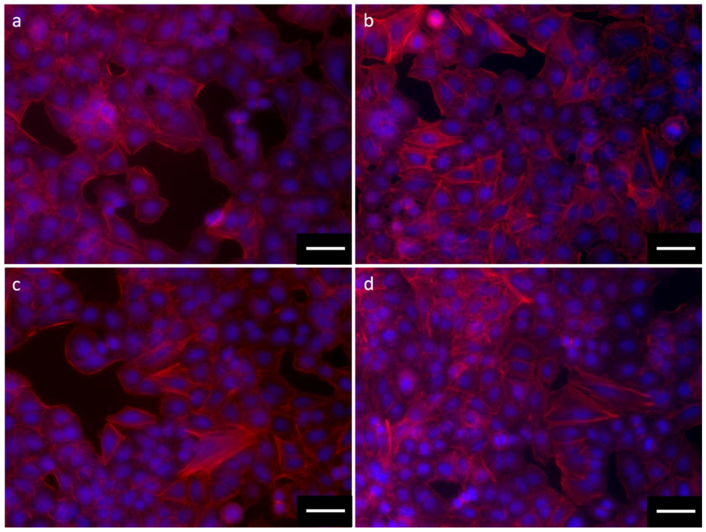 Nanomaterials 09 01041 g009 Nanomaterials 09 01041 g009