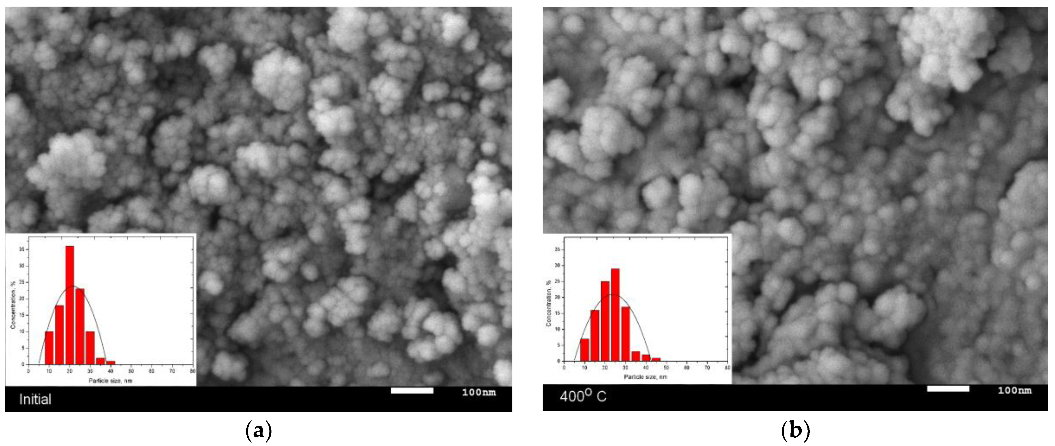 Nanomaterials 09 01079 g001a