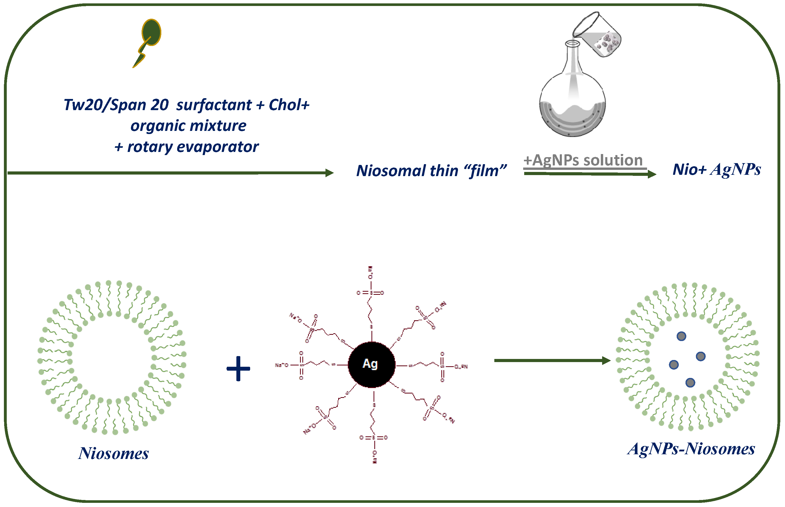 Nanomaterials 09 01177 g001 Nanomaterials 09 01177 g001