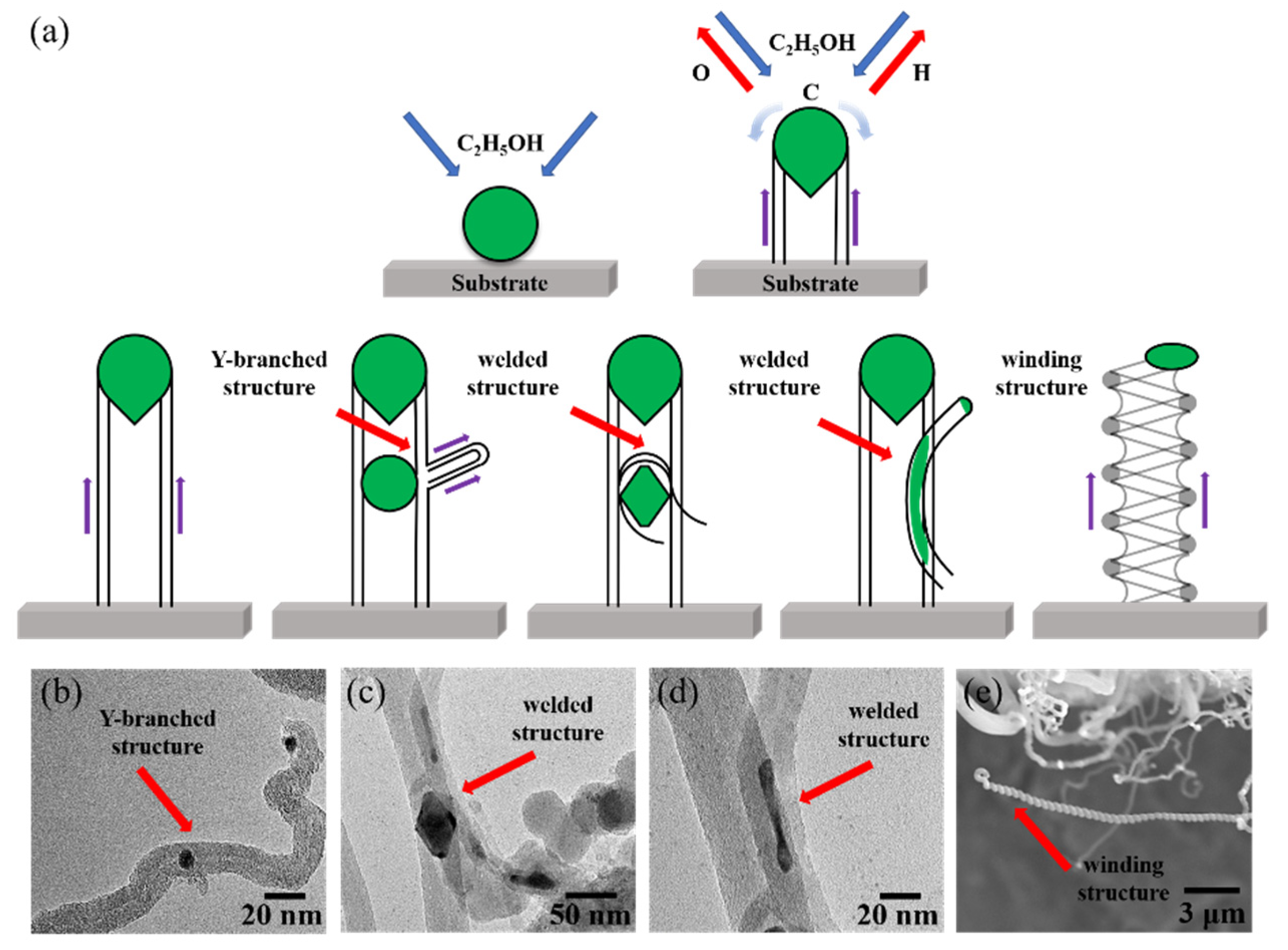 Nanomaterials 09 01188 g006