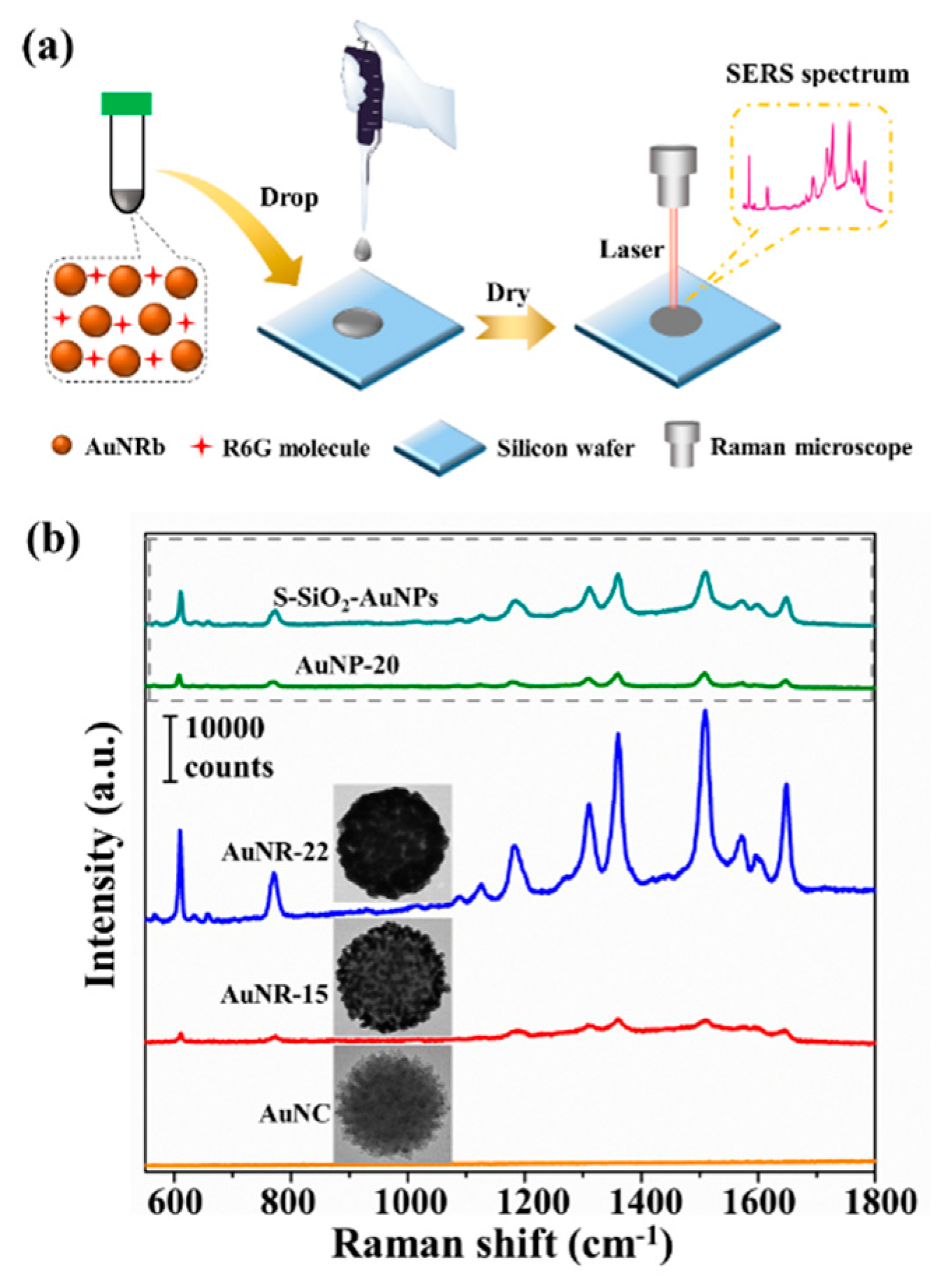 Nanomaterials 09 01202 g005