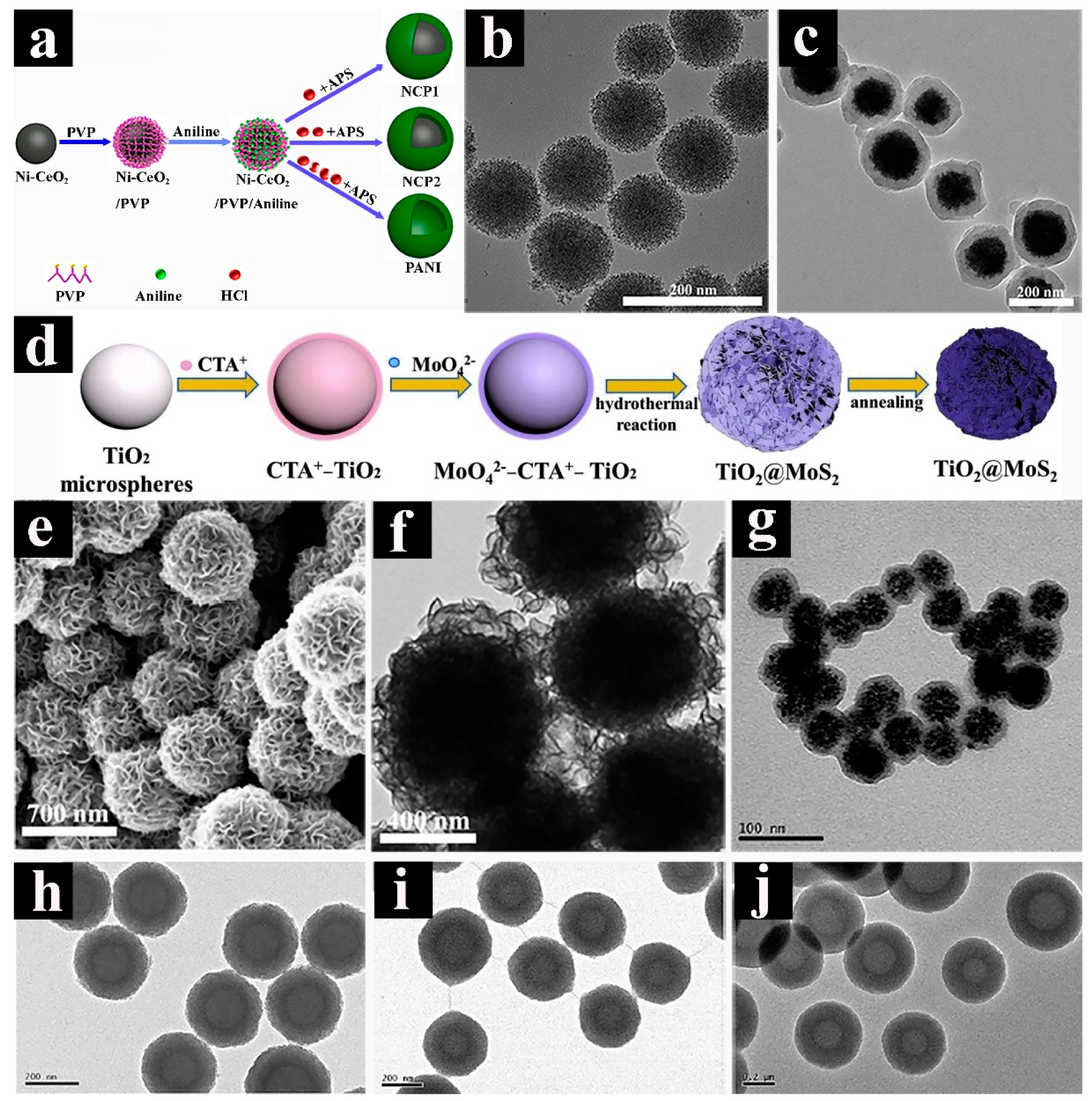 Nanomaterials 09 01207 g002