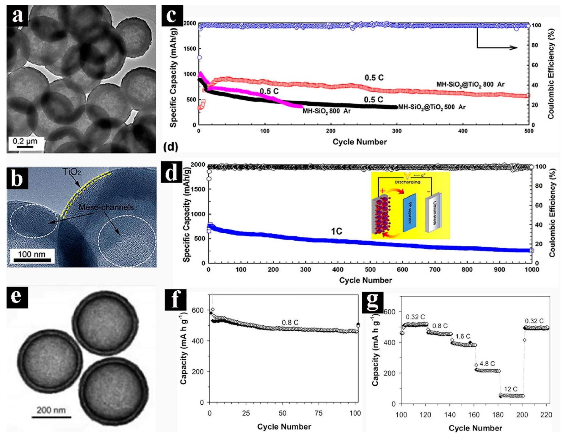 Nanomaterials 09 01207 g012