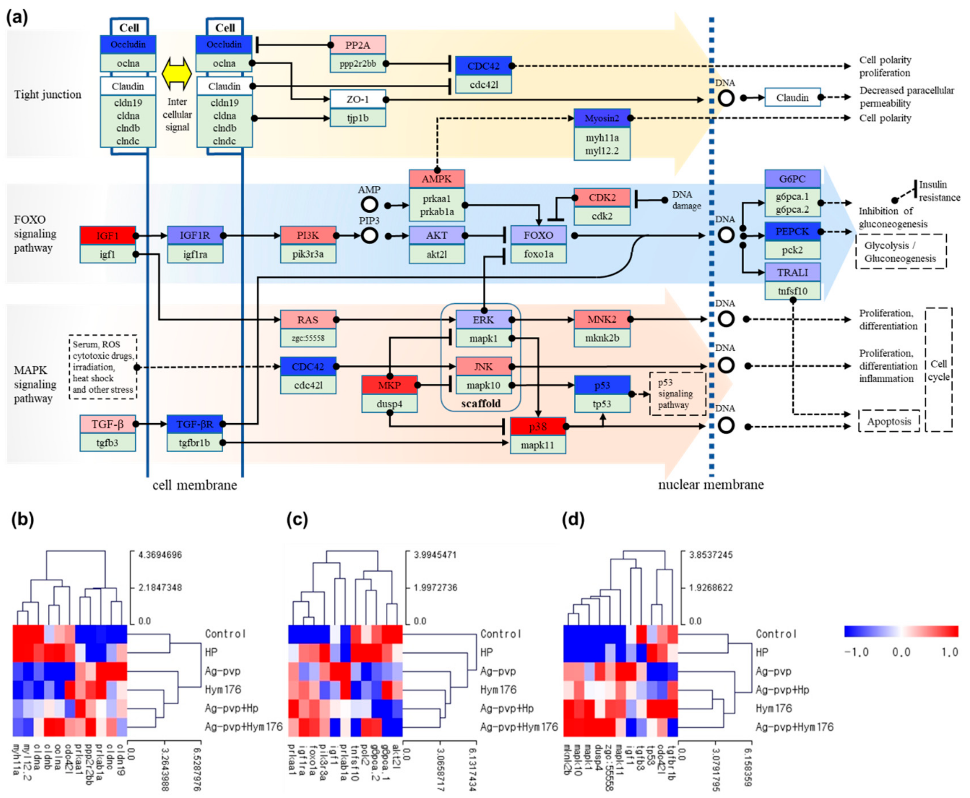 Nanomaterials 09 01210 g003