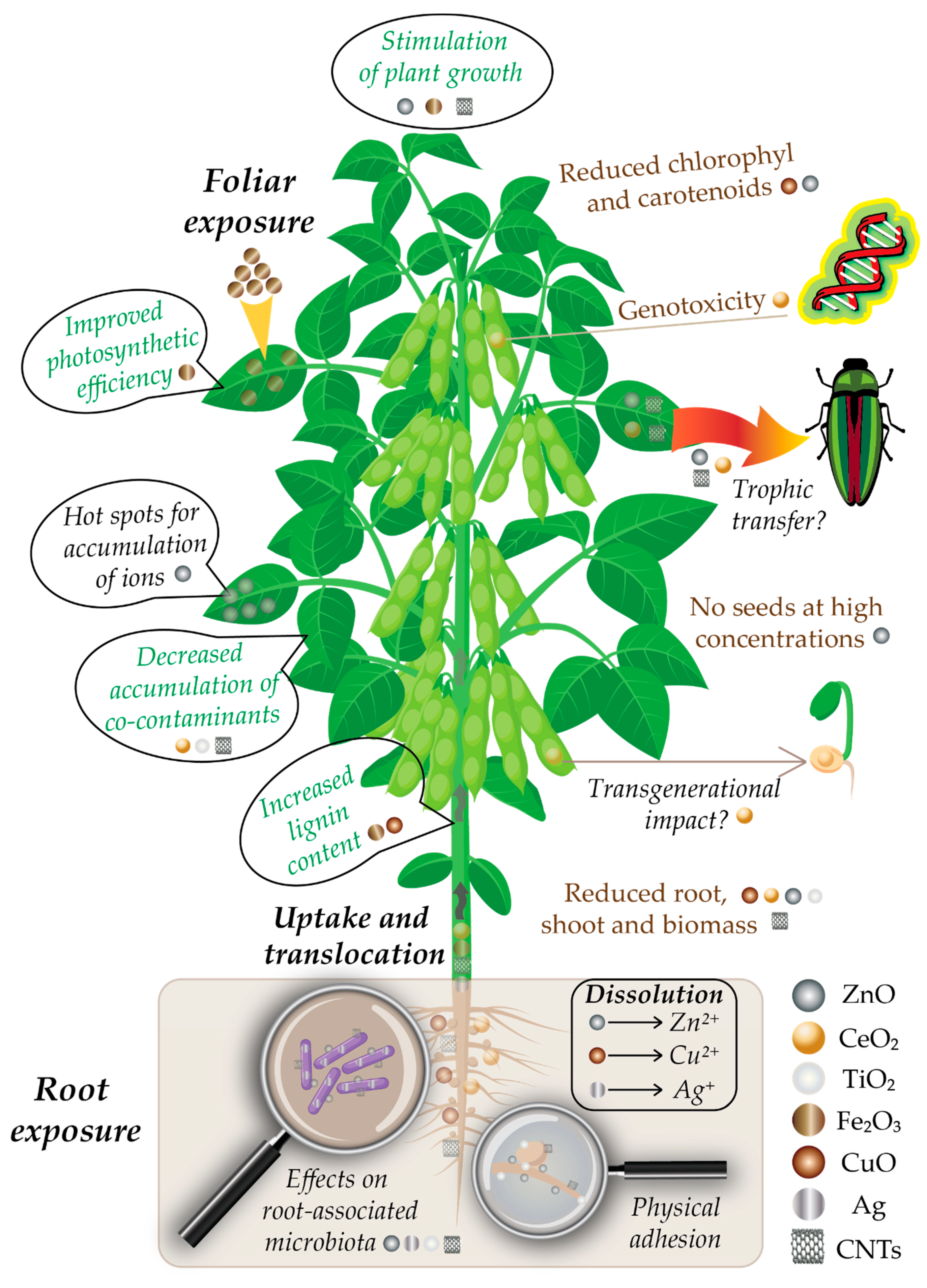 Nanomaterials 09 01248 g001