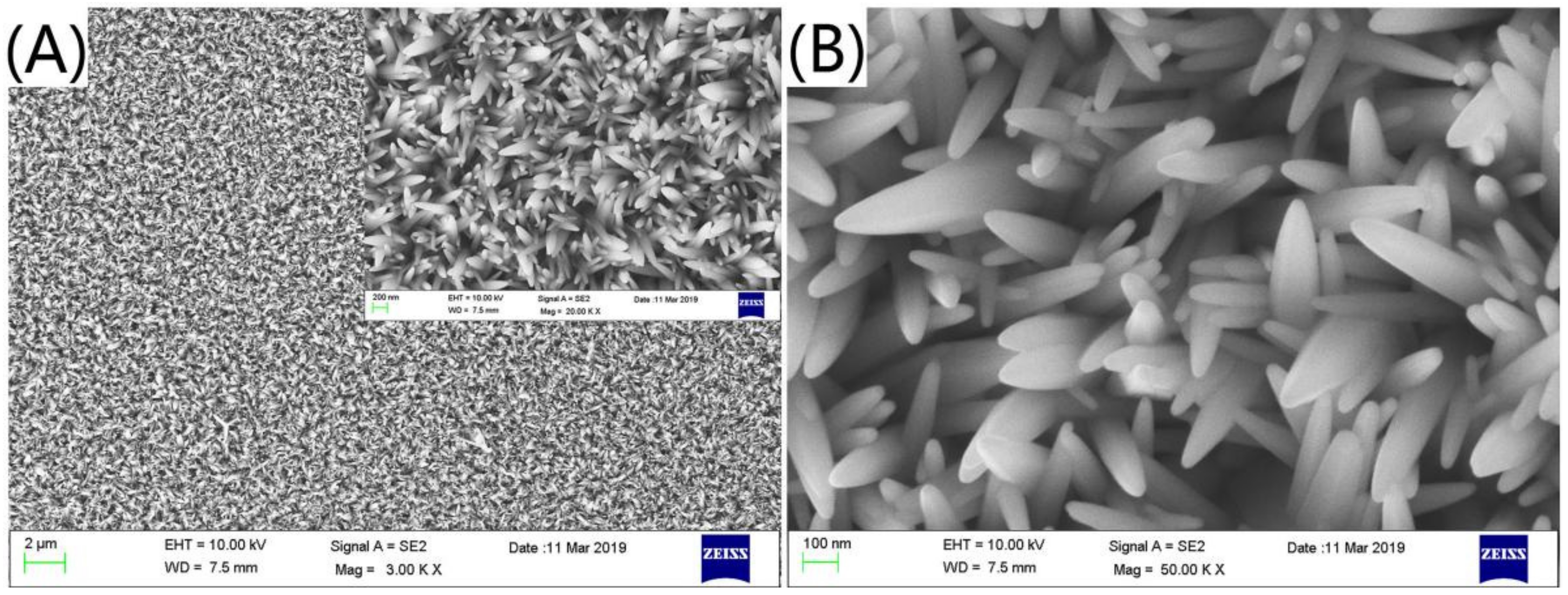 Nanomaterials 09 01254 g001
