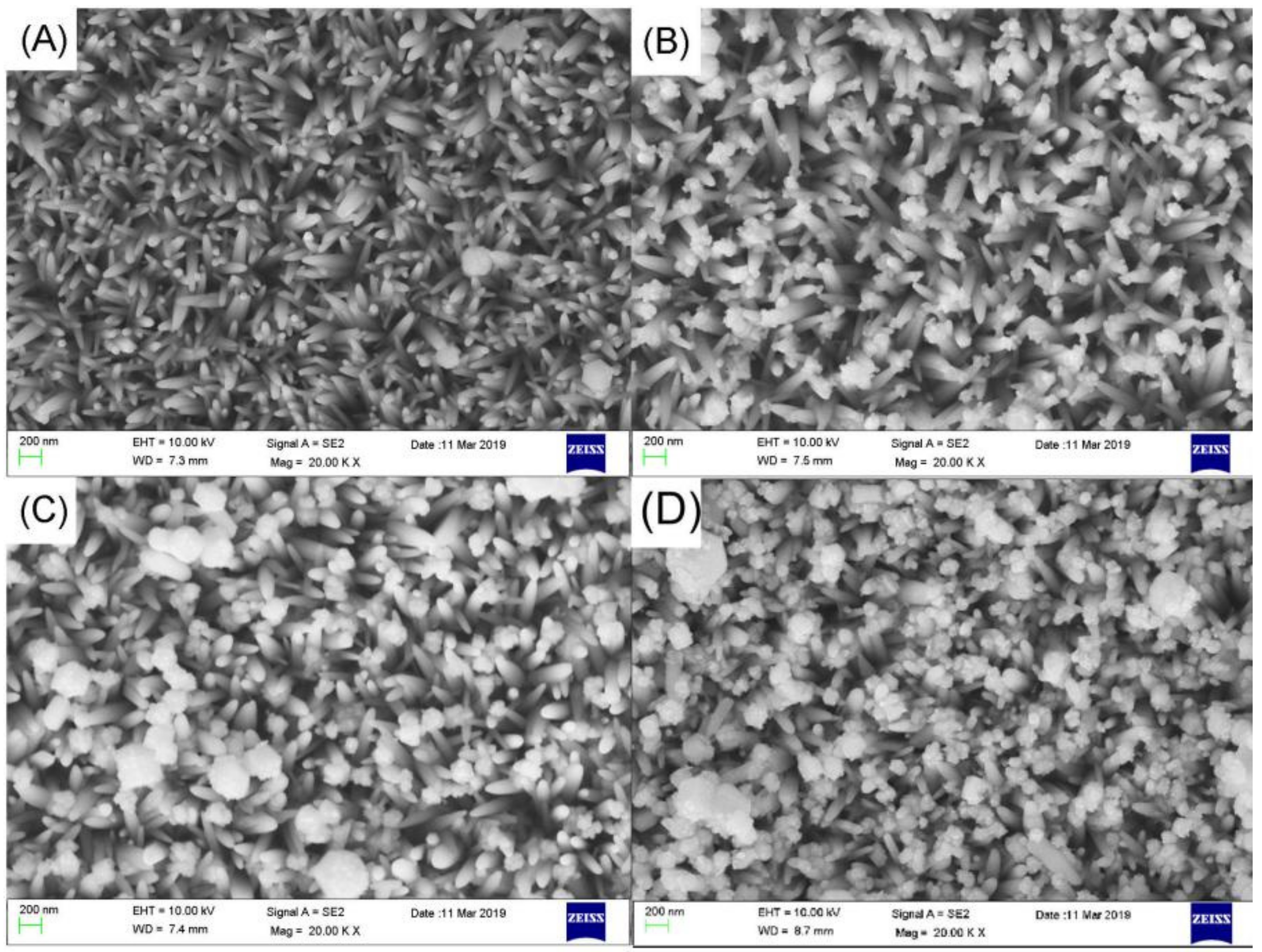 Nanomaterials 09 01254 g002