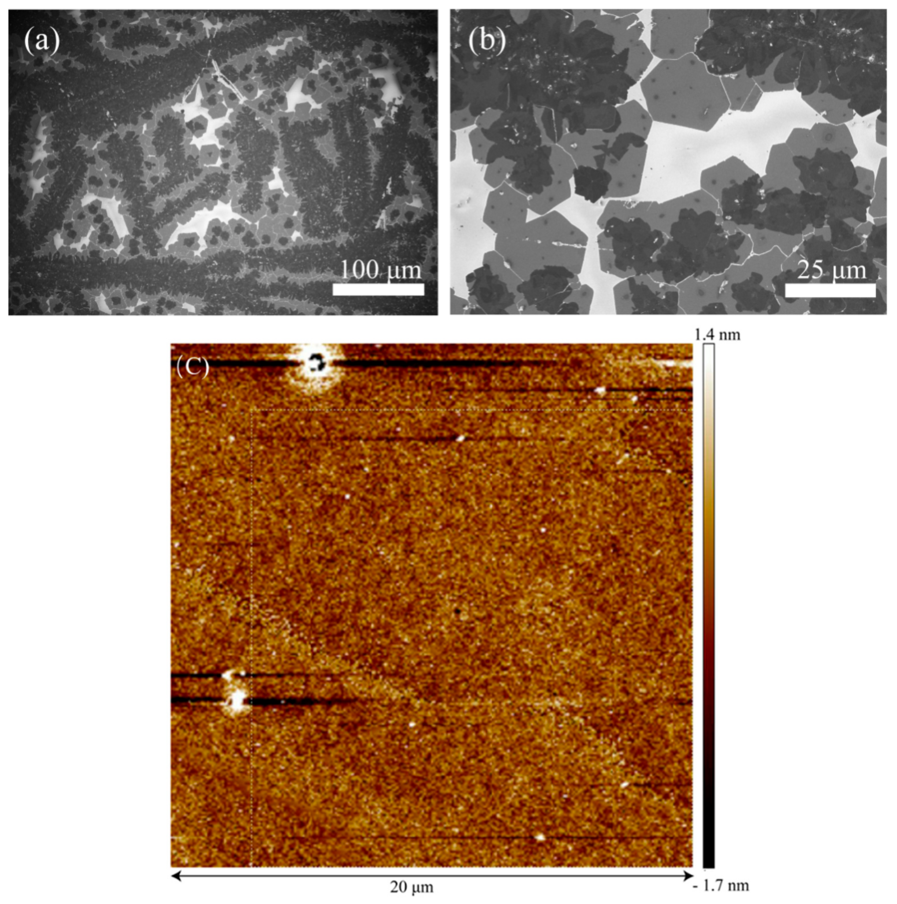 Nanomaterials 09 01312 g003