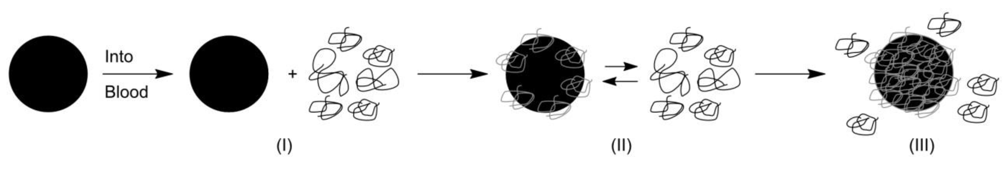 Nanomaterials 09 01365 g005 Nanomaterials 09 01365 g005