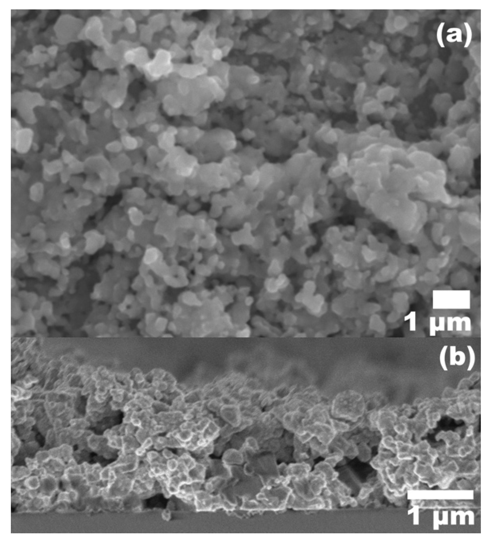 Nanomaterials 09 01382 g006 Nanomaterials 09 01382 g006