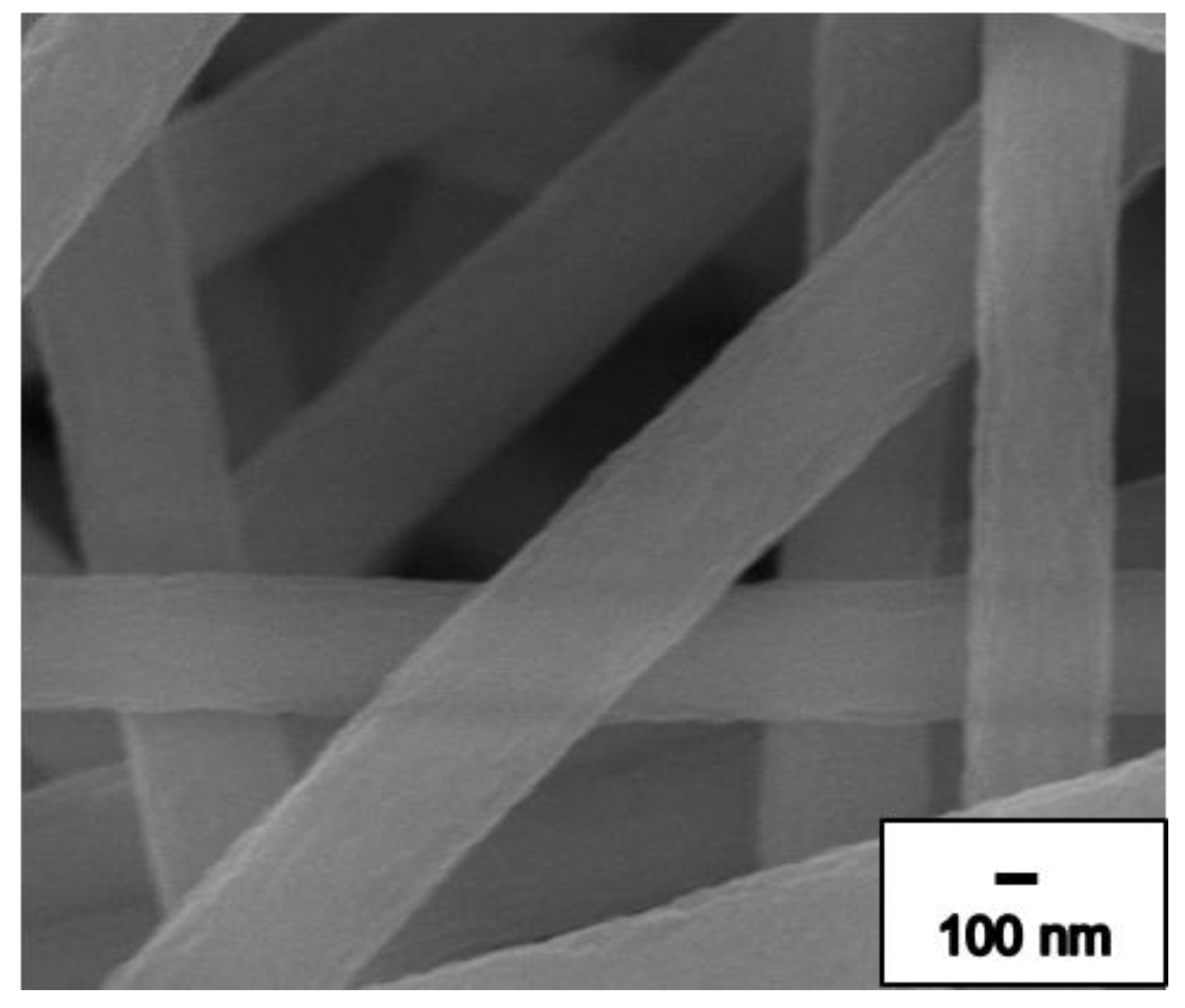 Nanomaterials 09 01383 g002